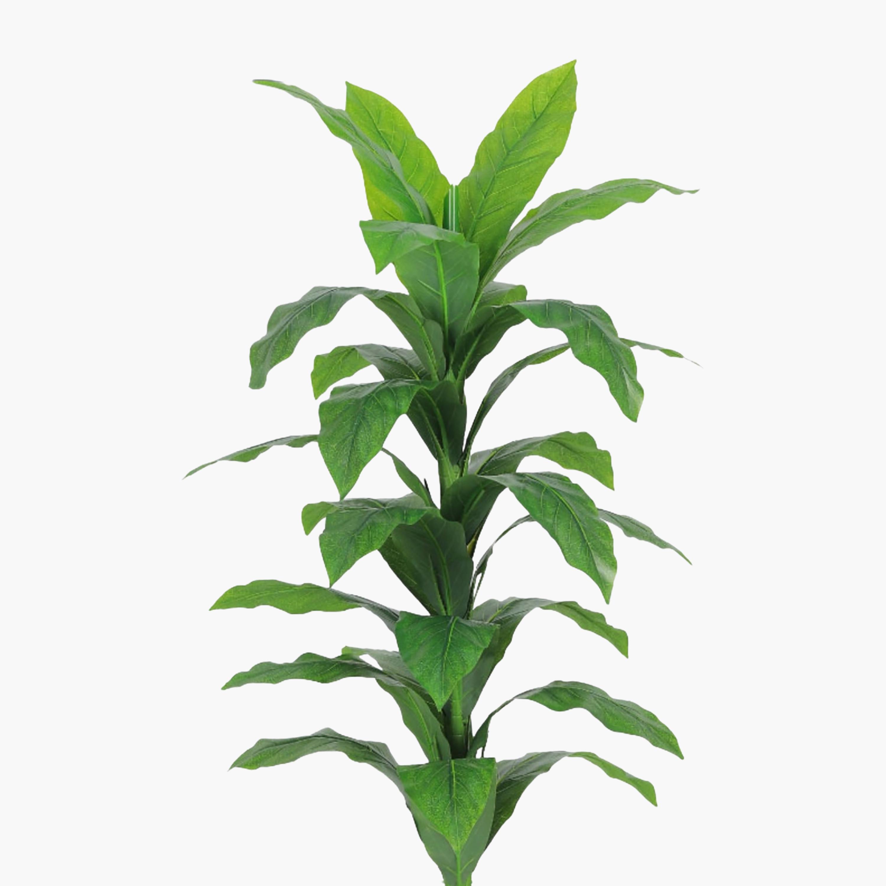 نبات صناعي بأوراق الذرة في أصيص من ماريا هومز-household-gardenandoutdoor-artificialflowersandplants-flowers-image-3