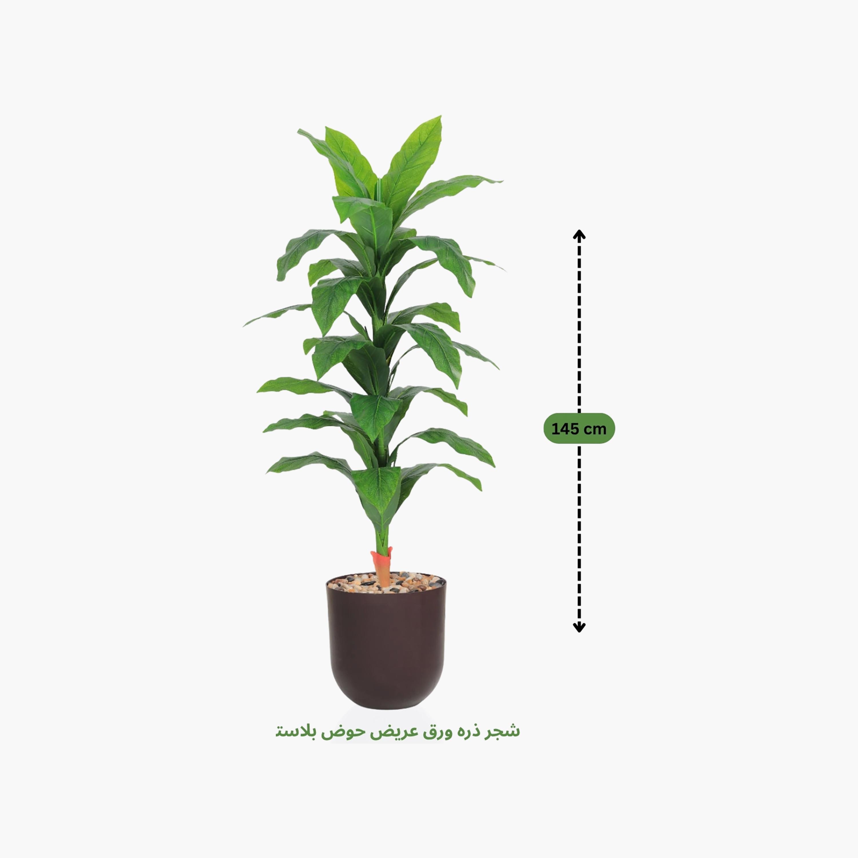 نبات صناعي بأوراق الذرة في أصيص من ماريا هومز-household-gardenandoutdoor-artificialflowersandplants-flowers-image-4