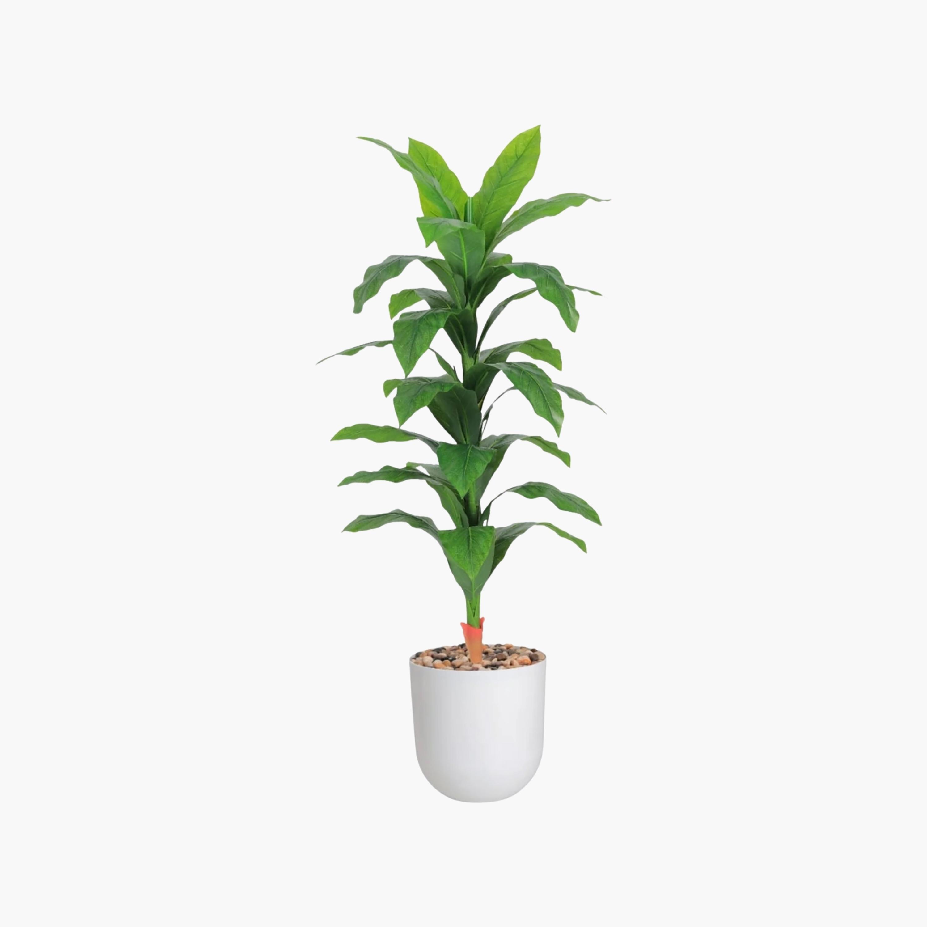 نبات صناعي بأوراق الذرة في أصيص من ماريا هومز-household-gardenandoutdoor-artificialflowersandplants-flowers-image-2
