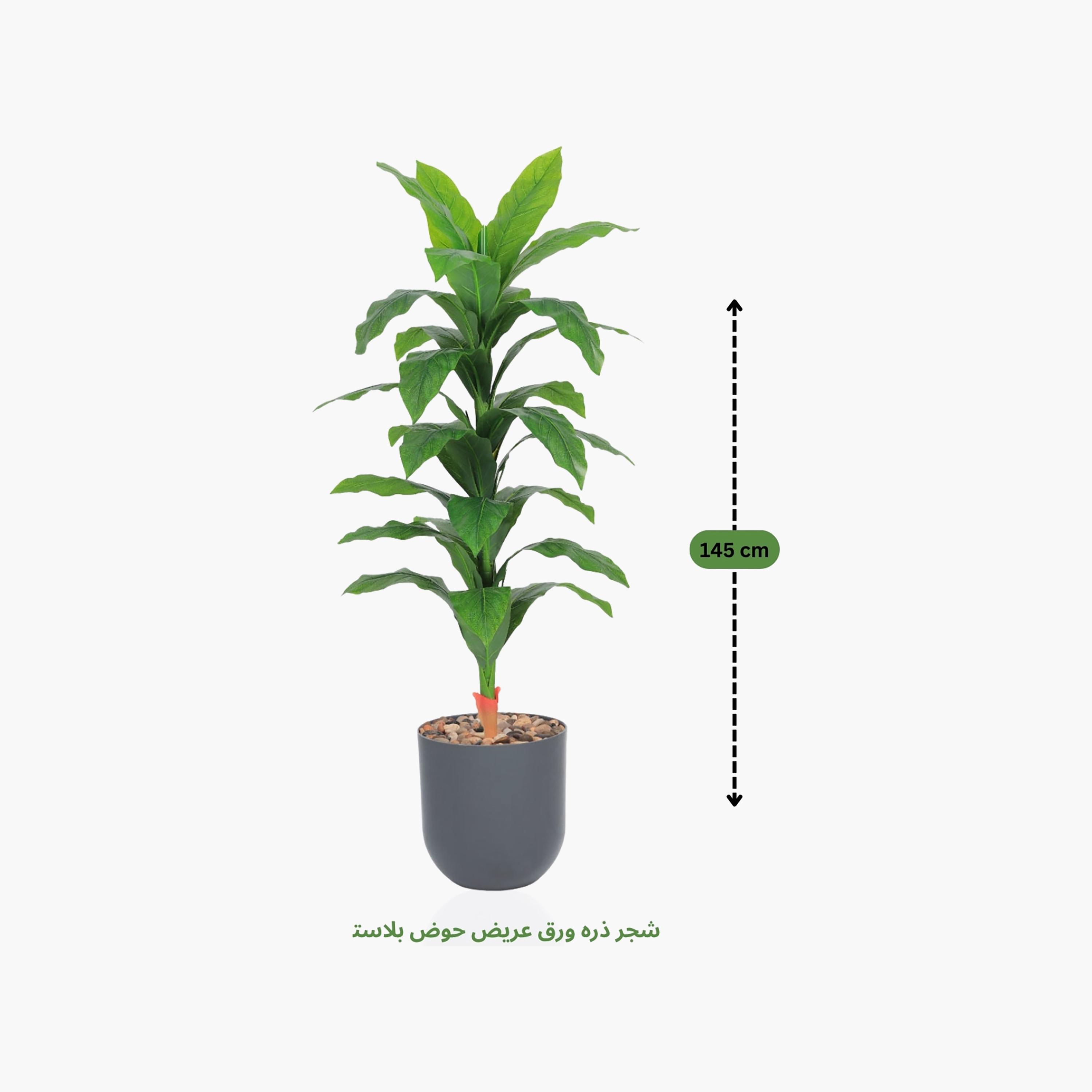 نبات صناعي بأوراق الذرة في أصيص من ماريا هومز-household-gardenandoutdoor-artificialflowersandplants-flowers-image-4