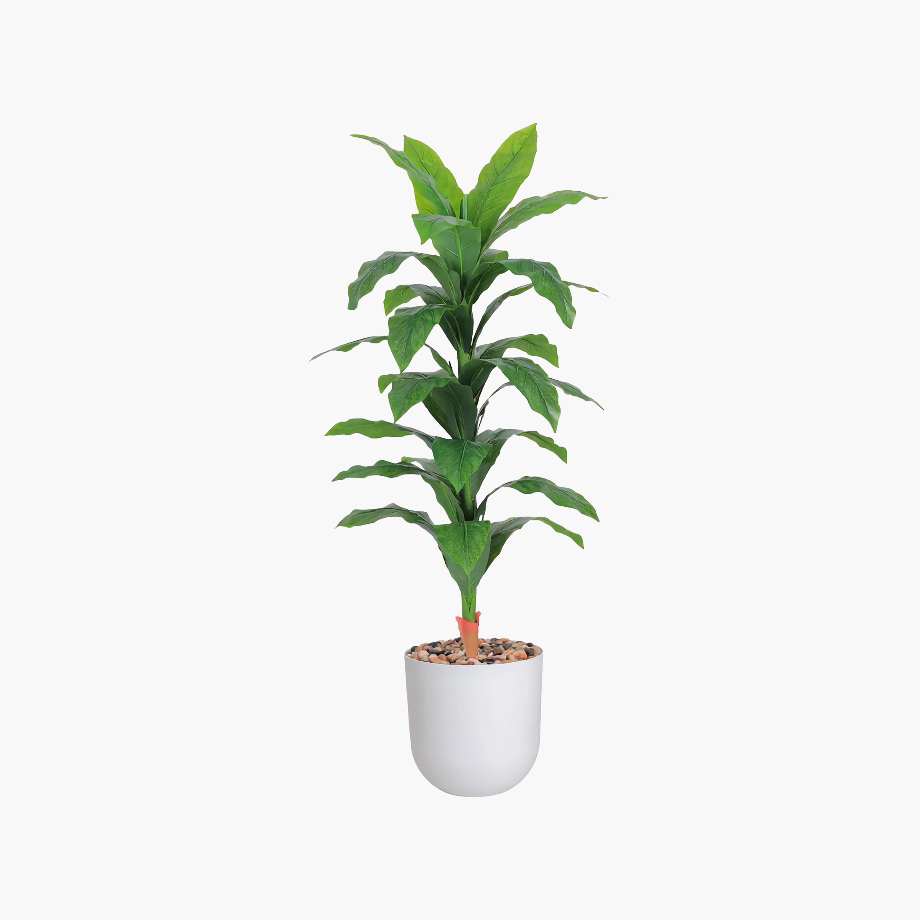 نبات صناعي بأوراق الذرة في أصيص من ماريا هومز-household-gardenandoutdoor-artificialflowersandplants-flowers-image-2