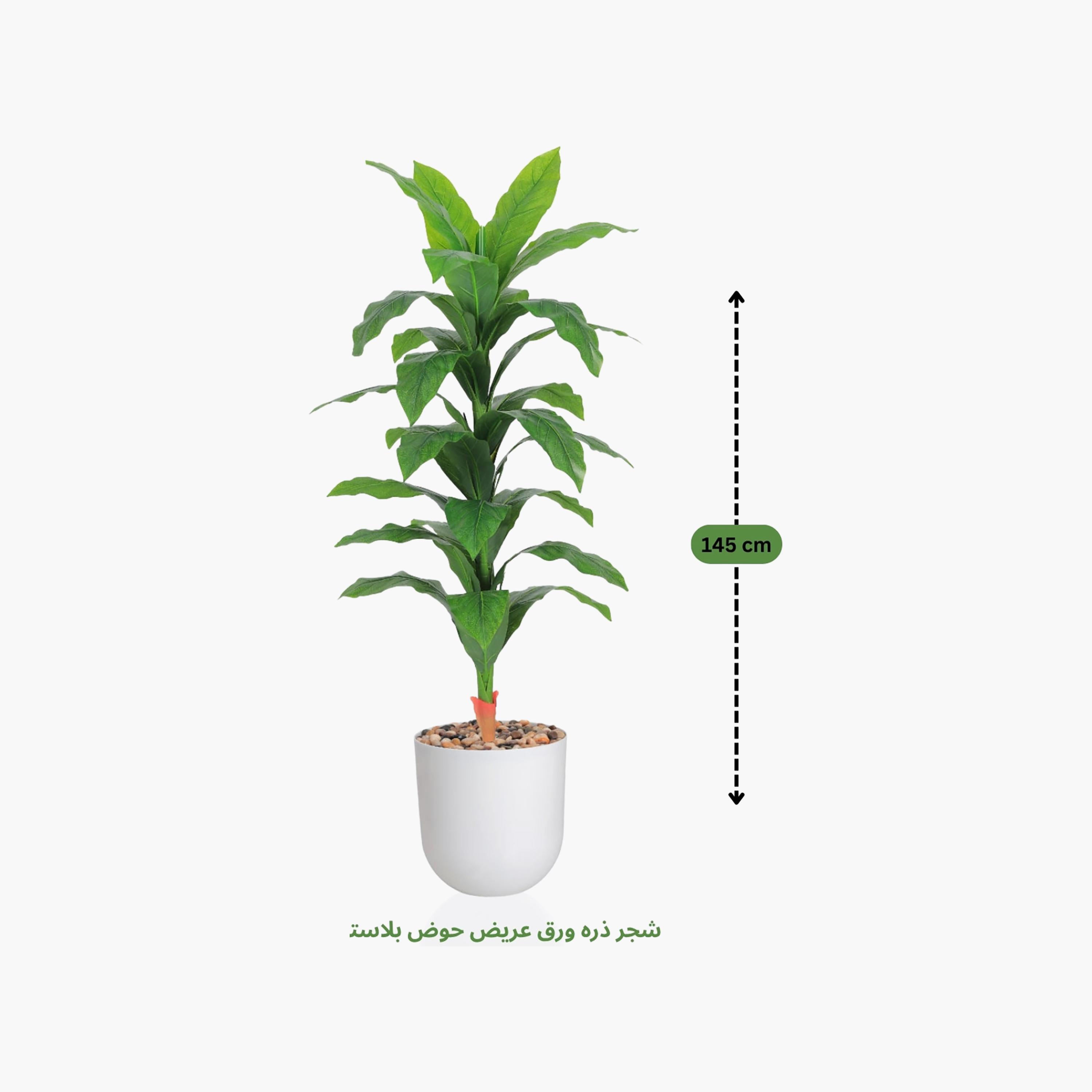 نبات صناعي بأوراق الذرة في أصيص من ماريا هومز-household-gardenandoutdoor-artificialflowersandplants-flowers-image-4