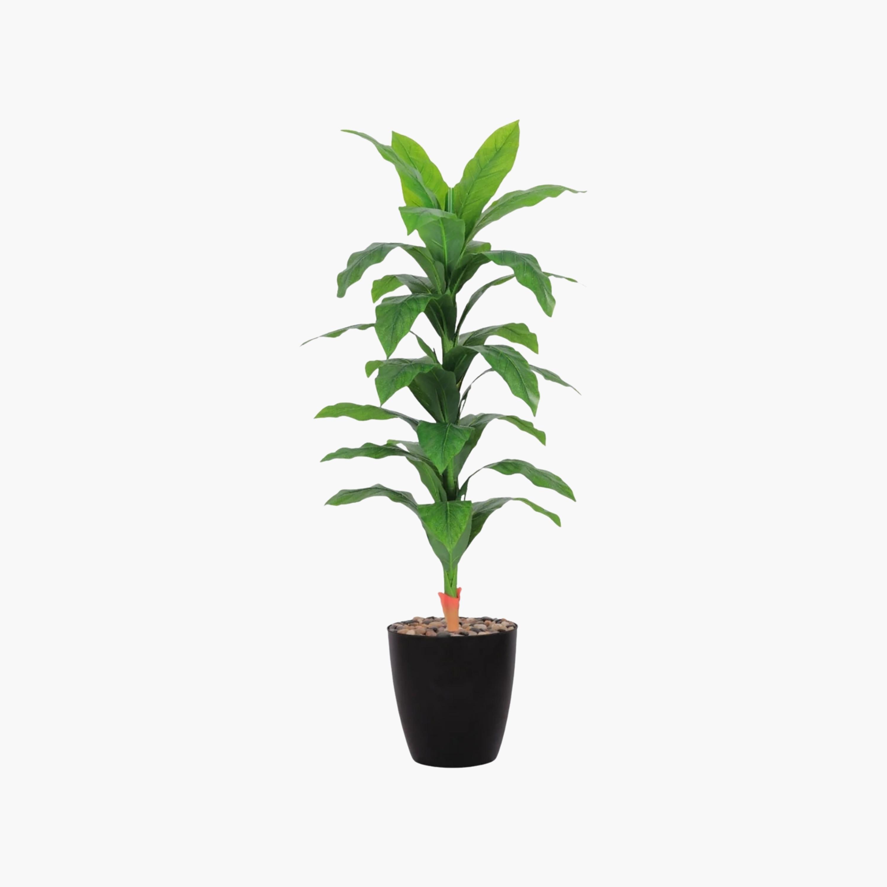 نبات صناعي بأوراق الذرة في أصيص من ماريا هومز-household-gardenandoutdoor-artificialflowersandplants-flowers-image-2