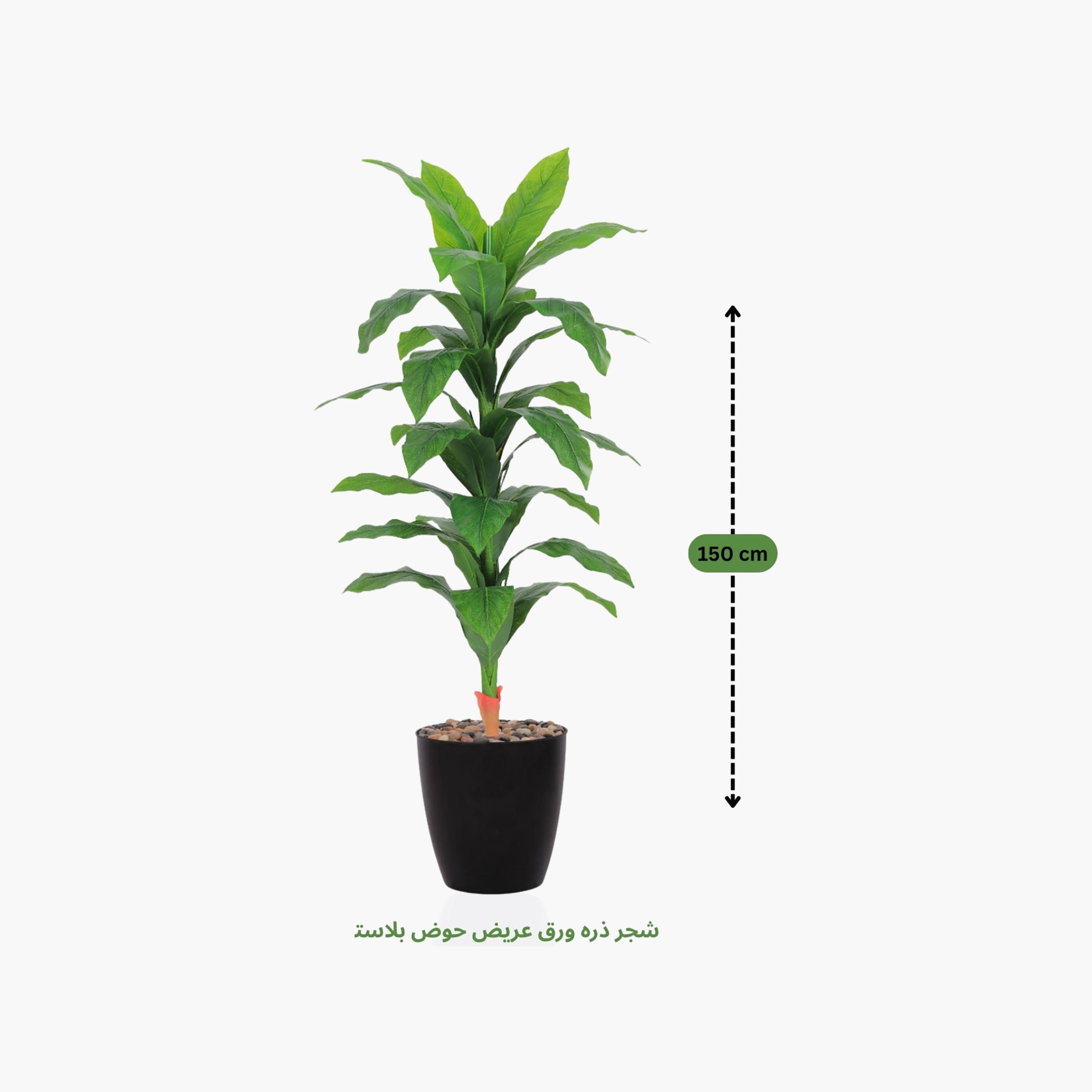 نبات صناعي بأوراق الذرة في أصيص من ماريا هومز-household-gardenandoutdoor-artificialflowersandplants-flowers-image-4