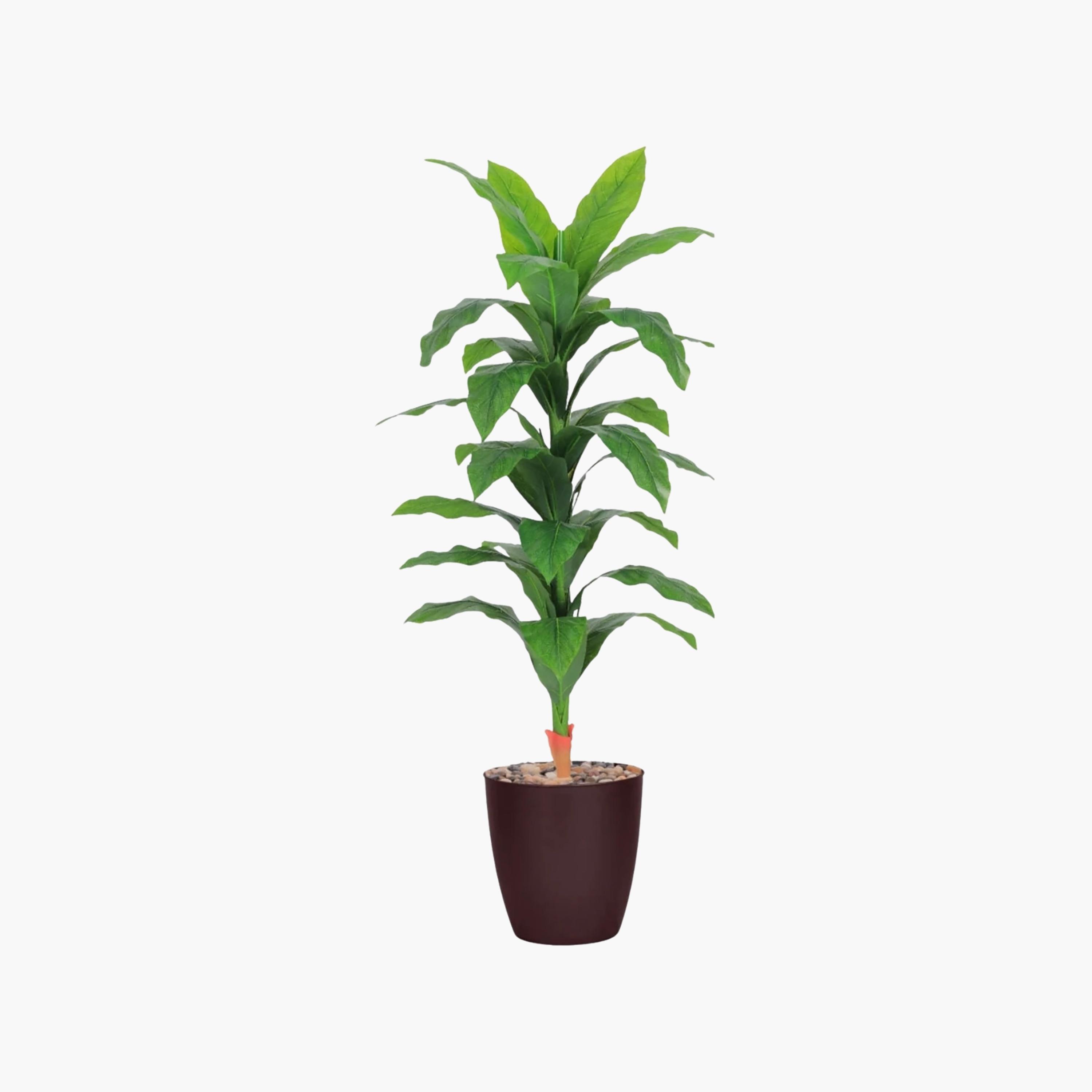 نبات صناعي بأوراق الذرة في أصيص من ماريا هومز-household-gardenandoutdoor-artificialflowersandplants-flowers-image-2