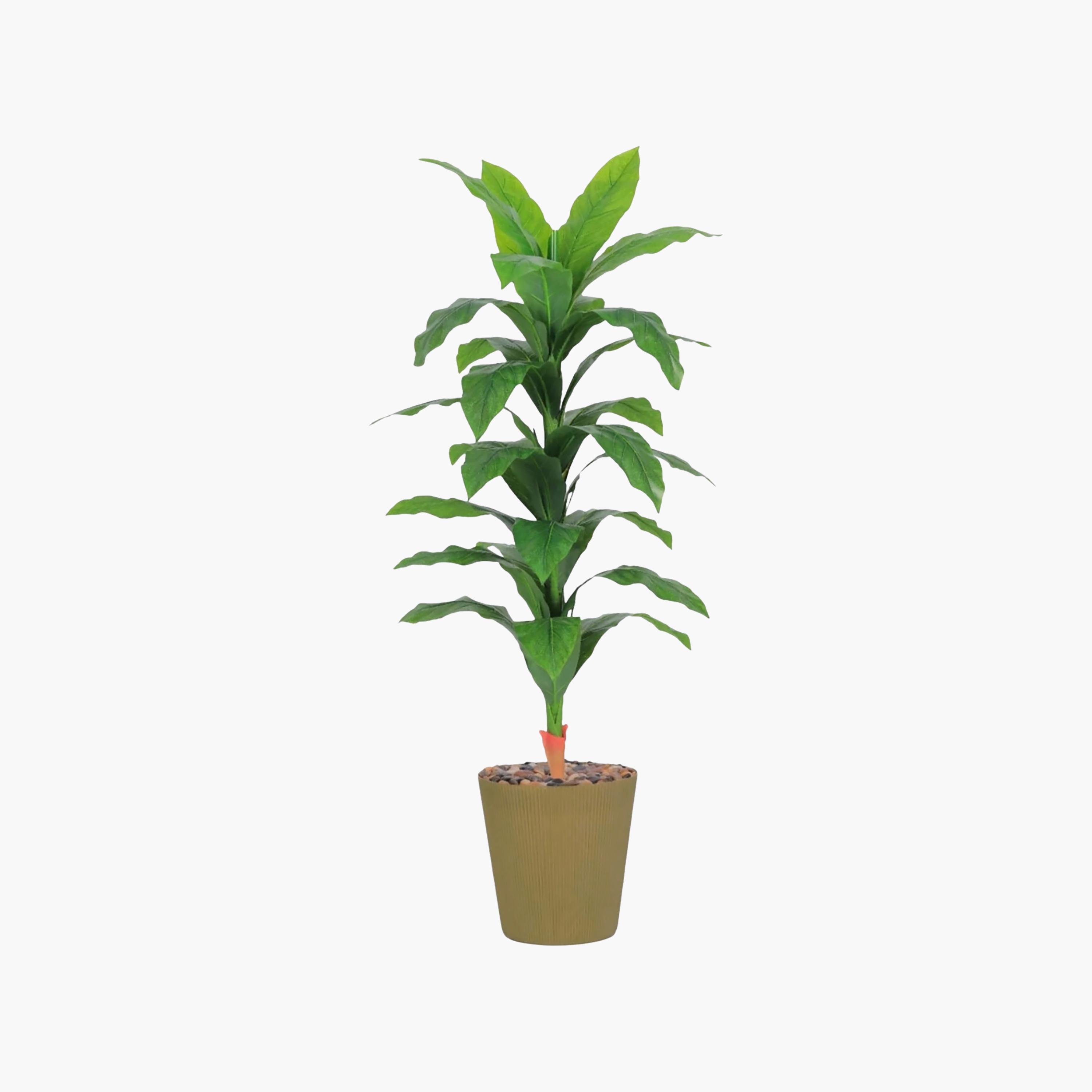 نبات صناعي بأوراق الذرة في أصيص من ماريا هومز-household-gardenandoutdoor-artificialflowersandplants-flowers-image-2