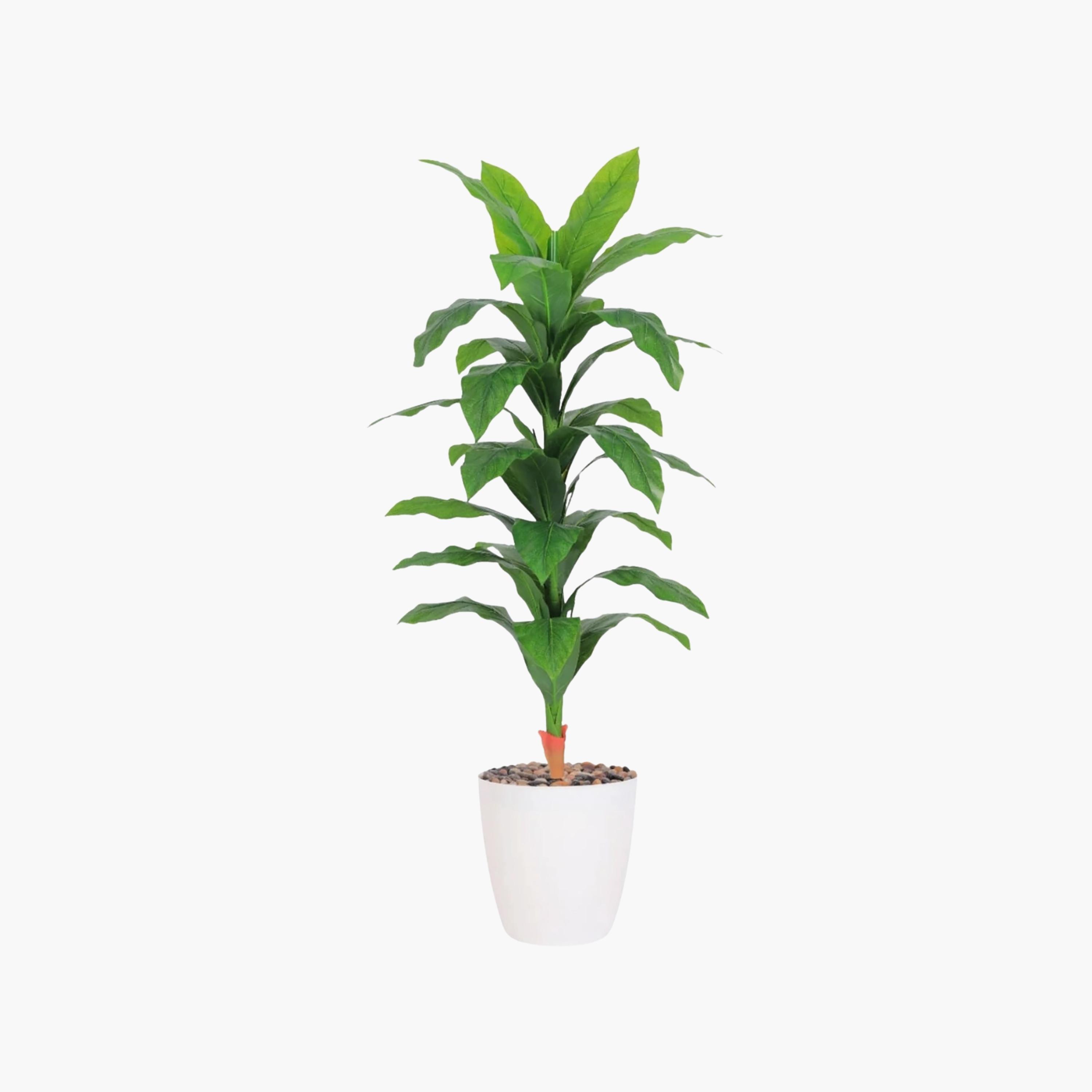 نبات صناعي بأوراق الذرة في أصيص من ماريا هومز-household-gardenandoutdoor-artificialflowersandplants-flowers-image-2
