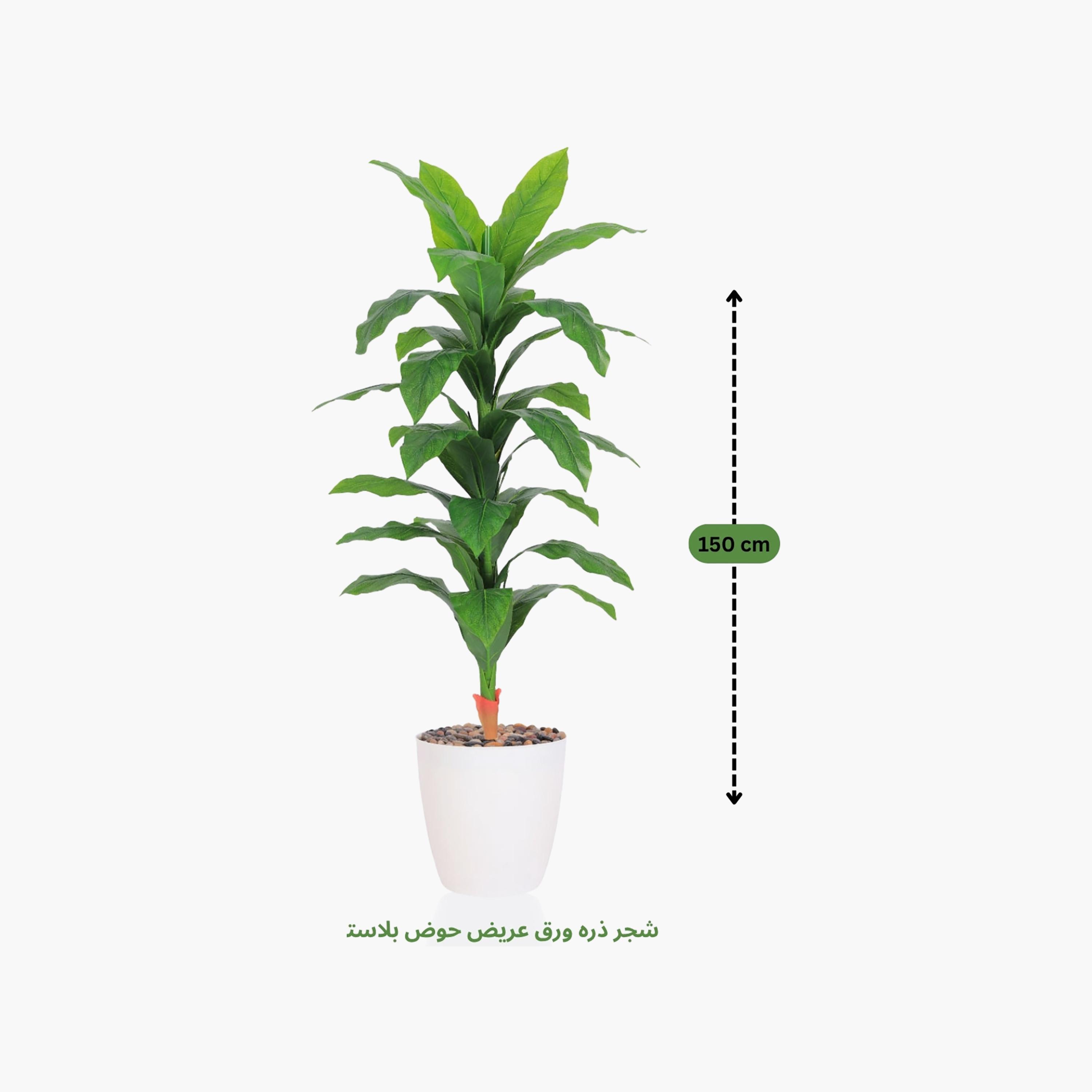 نبات صناعي بأوراق الذرة في أصيص من ماريا هومز-household-gardenandoutdoor-artificialflowersandplants-flowers-image-4