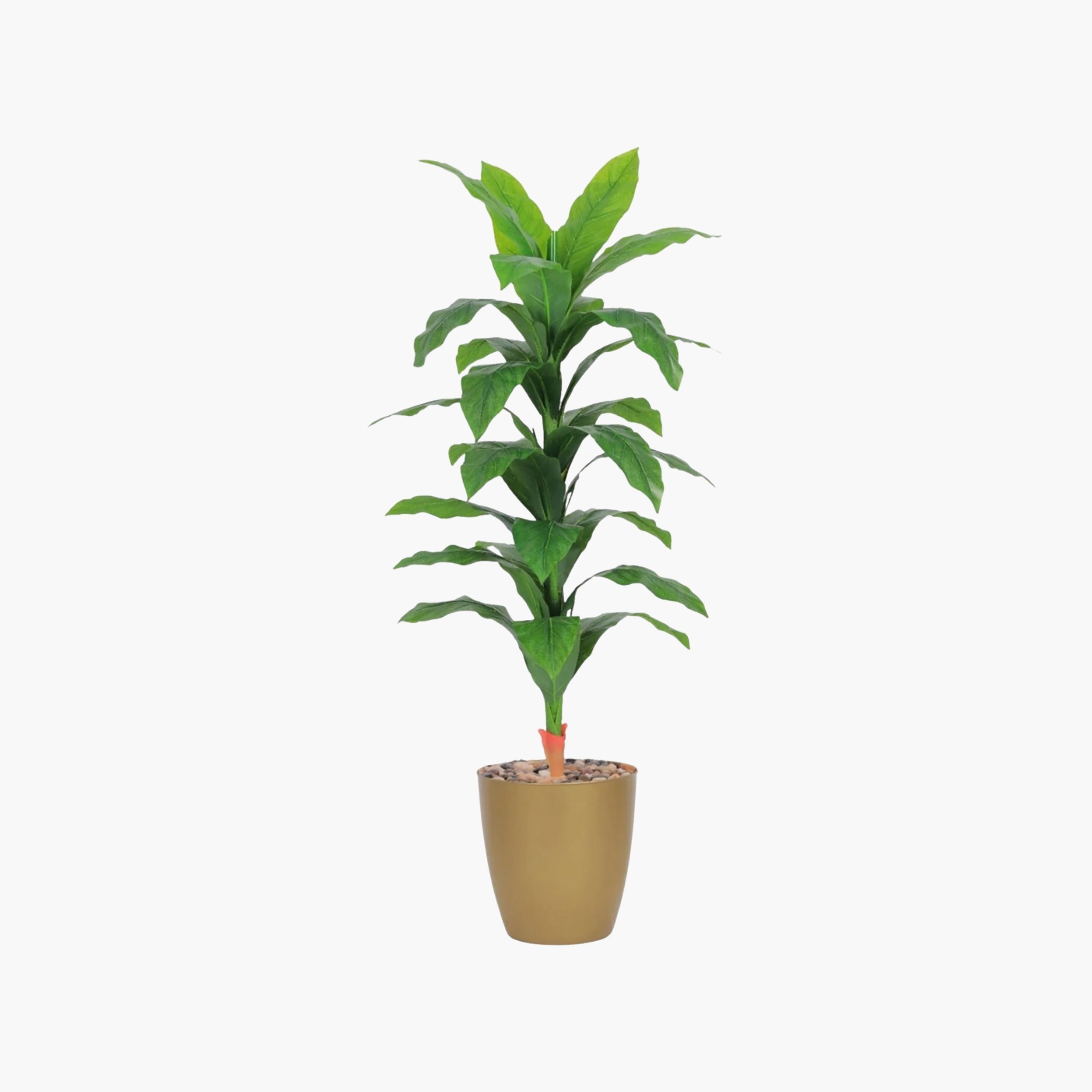 نبات صناعي بأوراق الذرة في أصيص من ماريا هومز-household-gardenandoutdoor-artificialflowersandplants-flowers-image-2