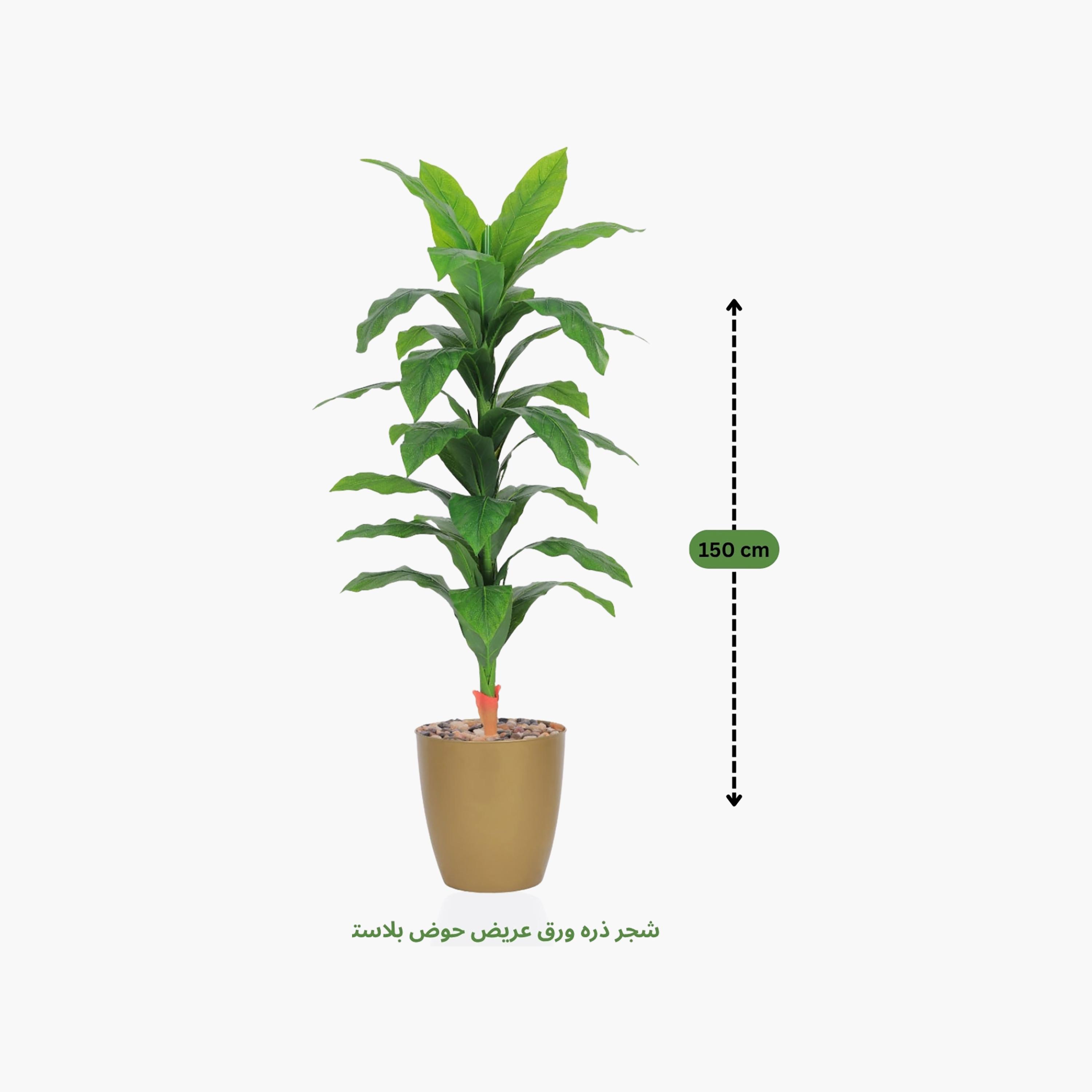 نبات صناعي بأوراق الذرة في أصيص من ماريا هومز-household-gardenandoutdoor-artificialflowersandplants-flowers-image-4