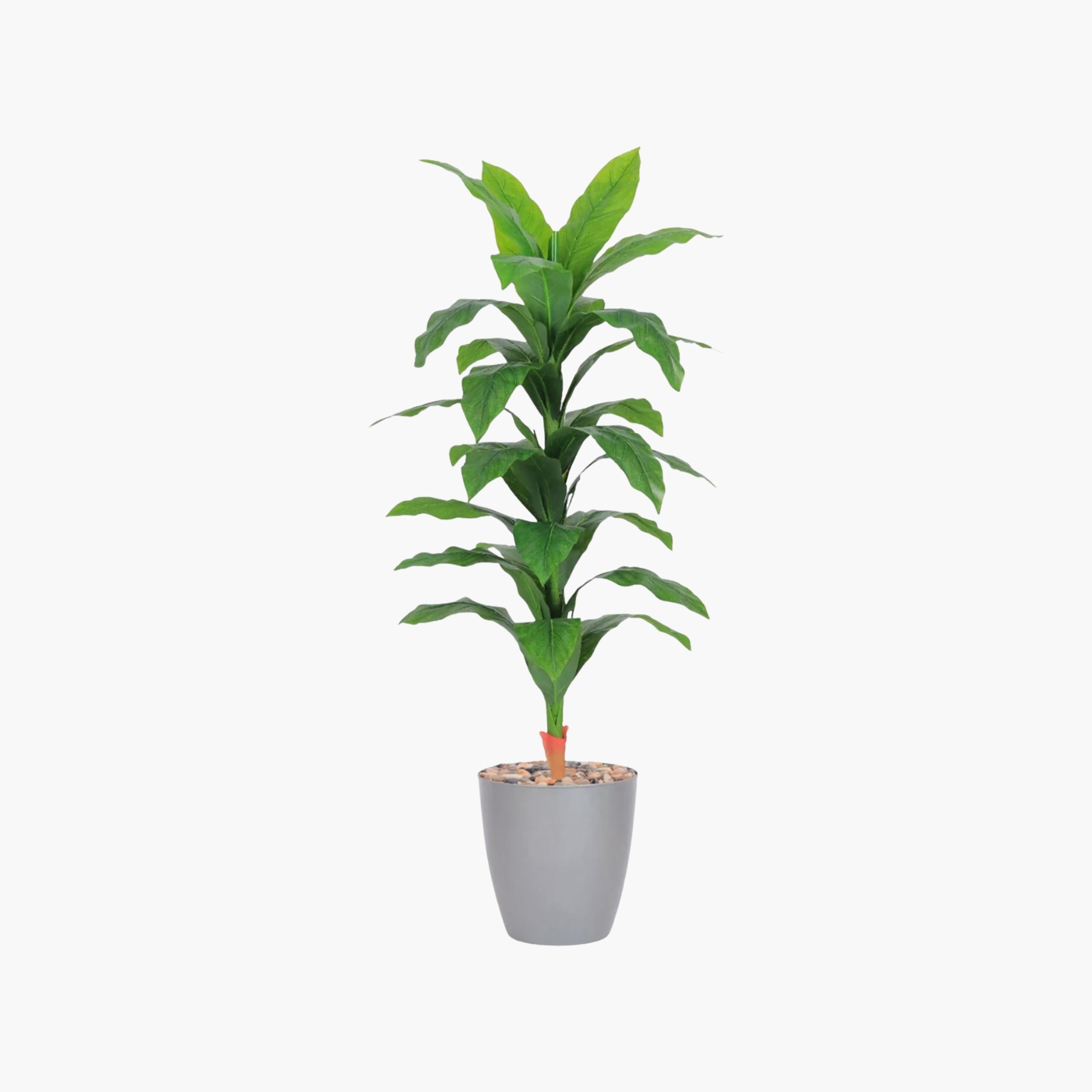 نبات صناعي بأوراق الذرة في أصيص من ماريا هومز-household-gardenandoutdoor-artificialflowersandplants-flowers-image-2
