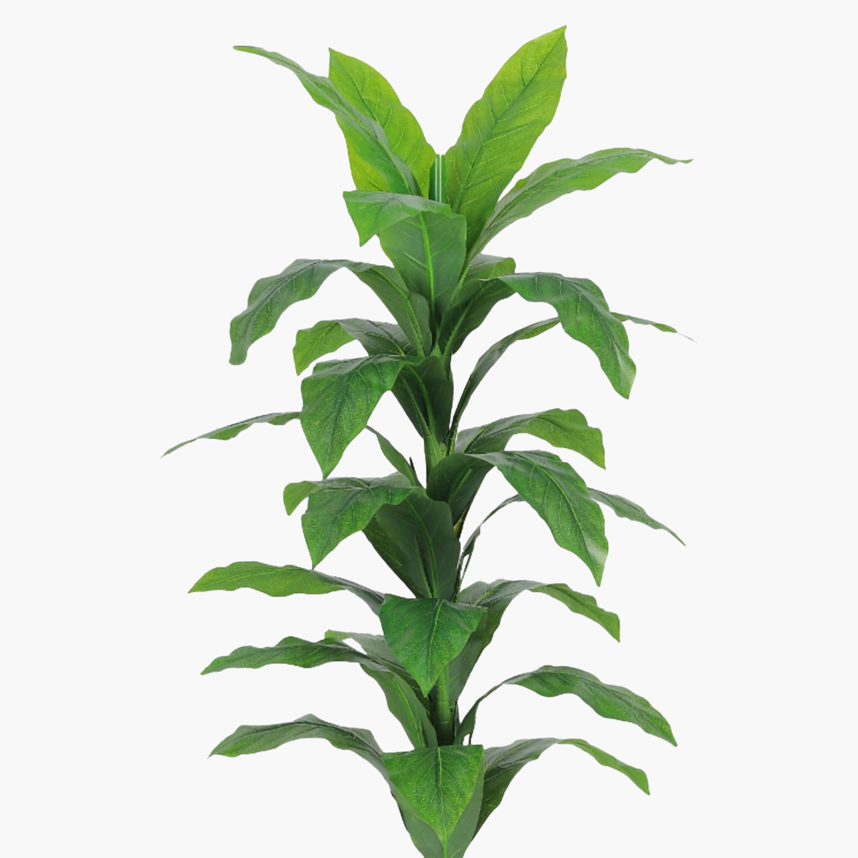 نبات صناعي بأوراق الذرة في أصيص من ماريا هومز-household-gardenandoutdoor-artificialflowersandplants-flowers-image-3