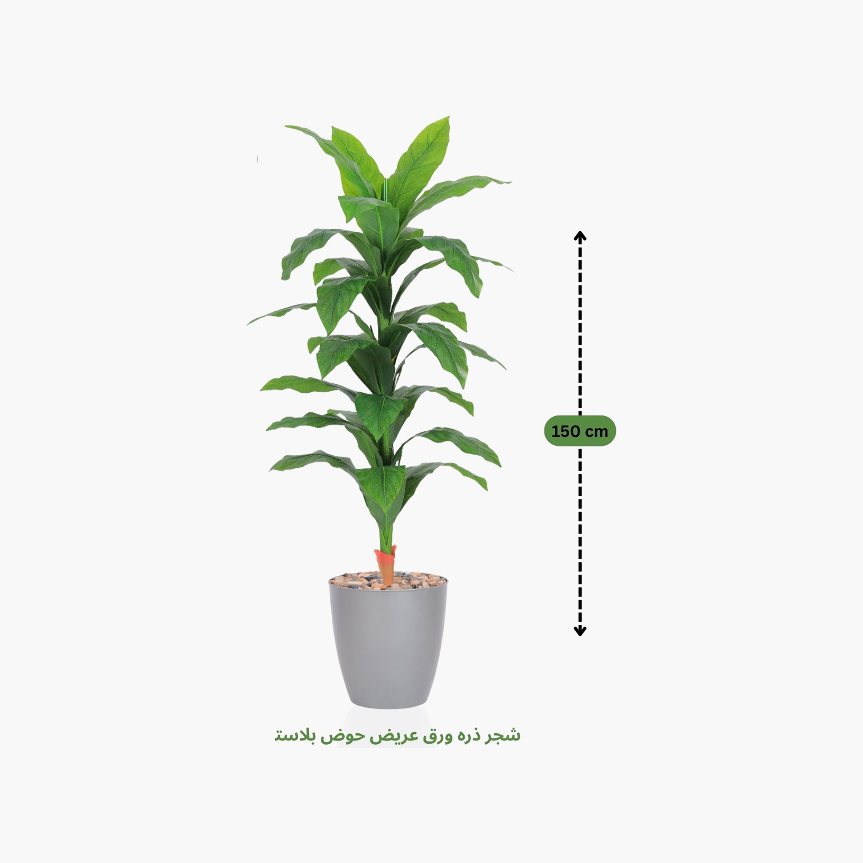 نبات صناعي بأوراق الذرة في أصيص من ماريا هومز-household-gardenandoutdoor-artificialflowersandplants-flowers-image-4