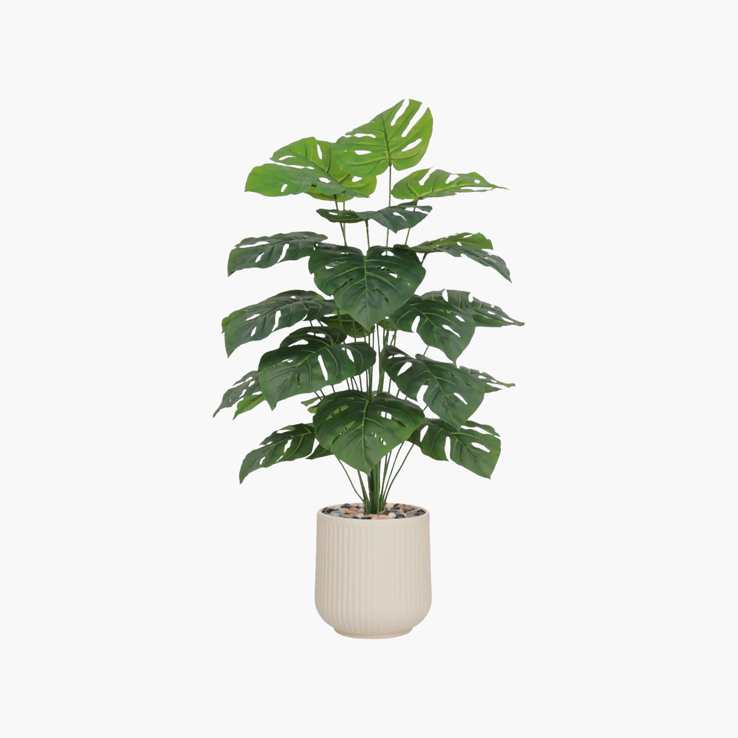 نبات مونستيرا صناعي في أصيص من ماريا هومز-household-gardenandoutdoor-artificialflowersandplants-flowers-image-2