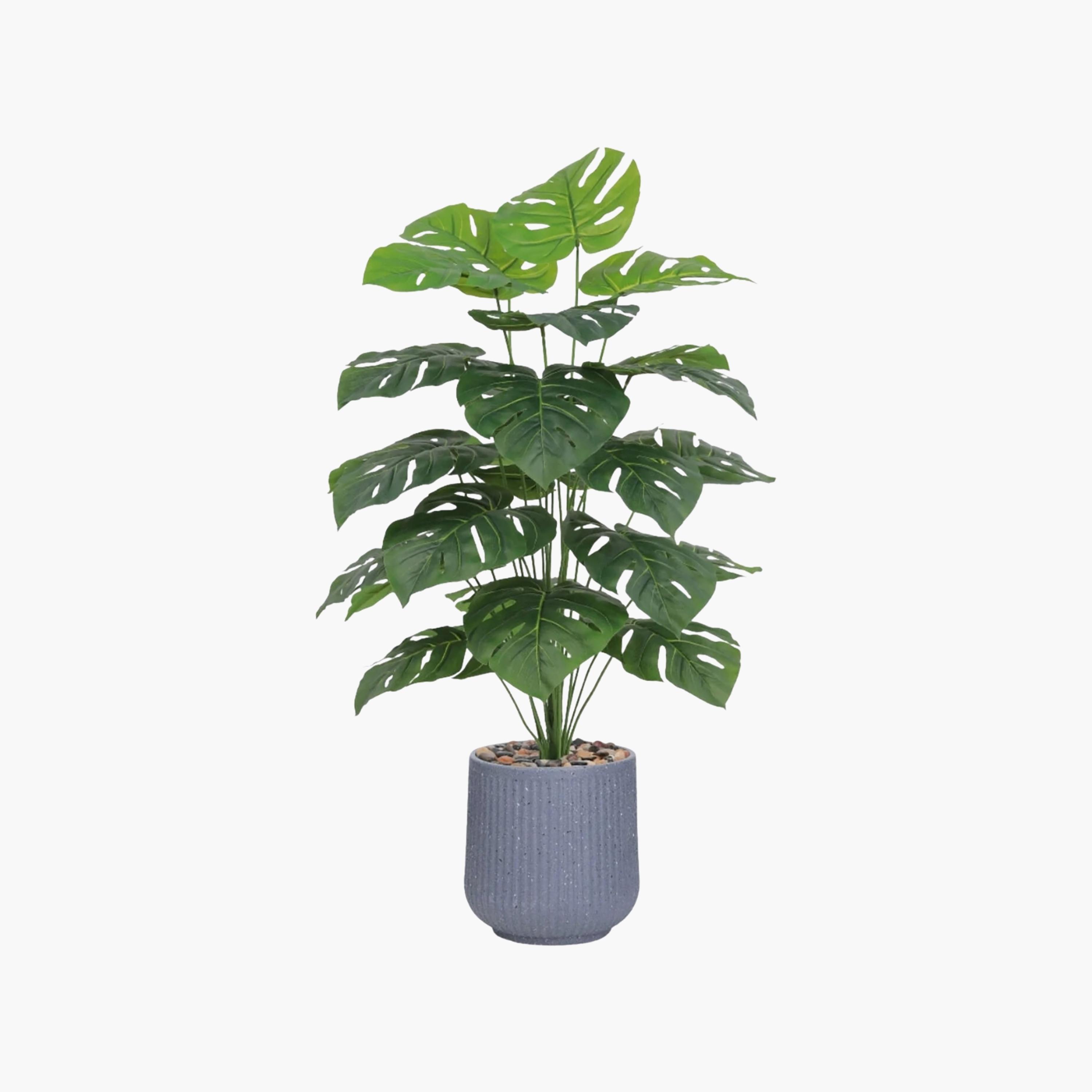 نبات مونستيرا صناعي في أصيص من ماريا هومز-household-gardenandoutdoor-artificialflowersandplants-flowers-image-2