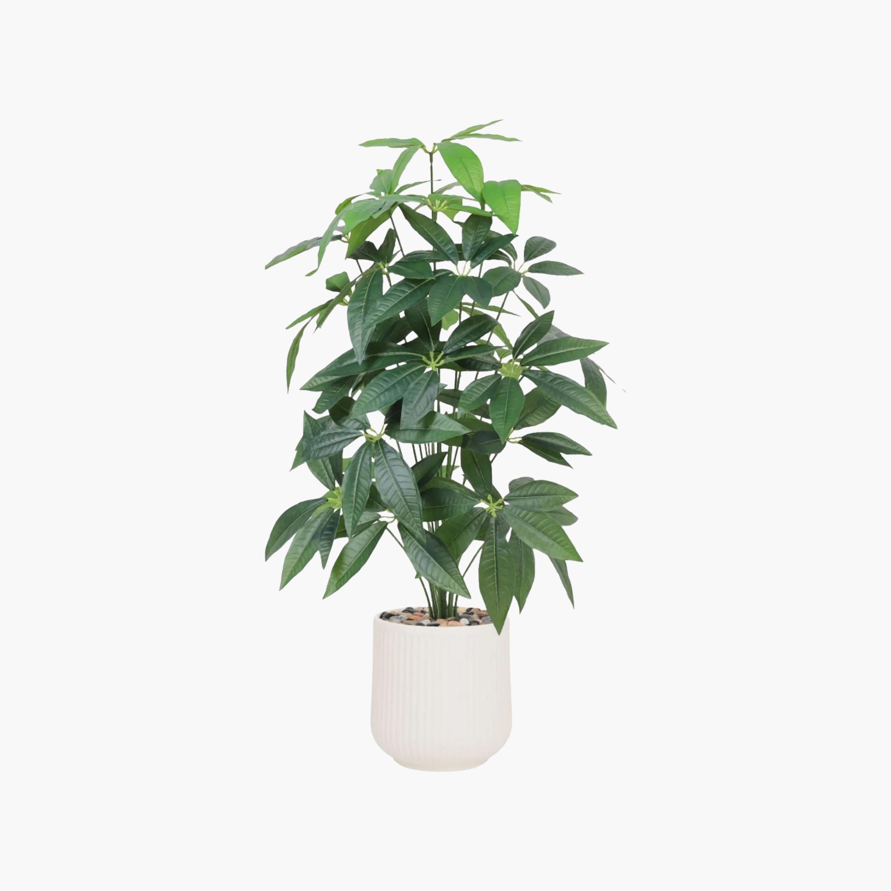 شجرة أوراق صناعية بأصيص من ماريا هومز-household-gardenandoutdoor-artificialflowersandplants-flowers-image-2