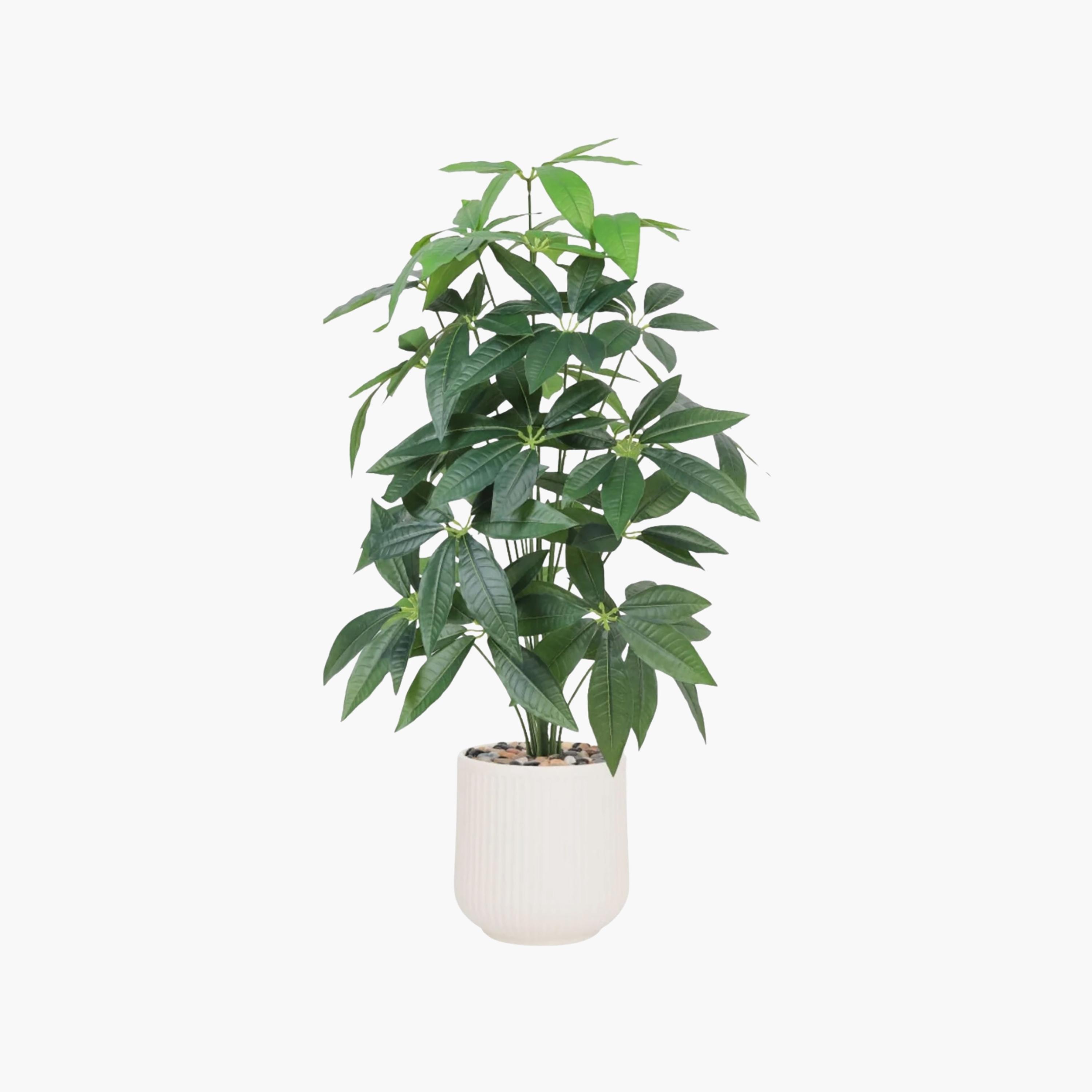 شجرة أوراق صناعية بأصيص من ماريا هومز-household-gardenandoutdoor-artificialflowersandplants-flowers-image-2