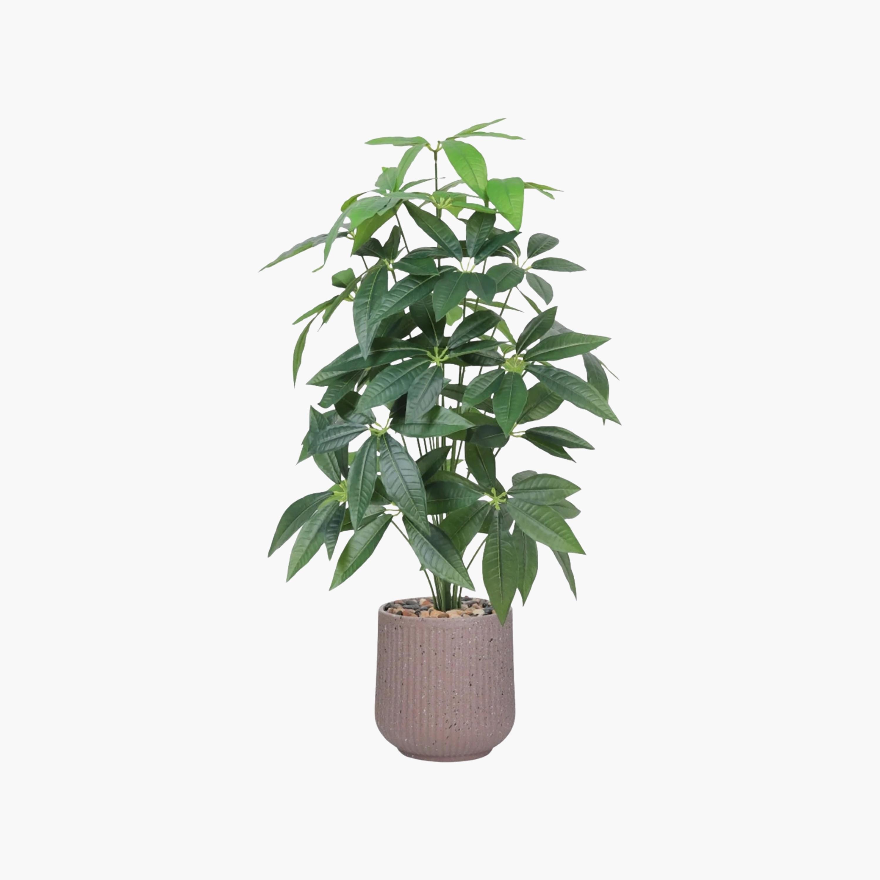 Maria Homes Potted Artificial Leaf Tree-household-gardenandoutdoor-artificialflowersandplants-flowers-image-2