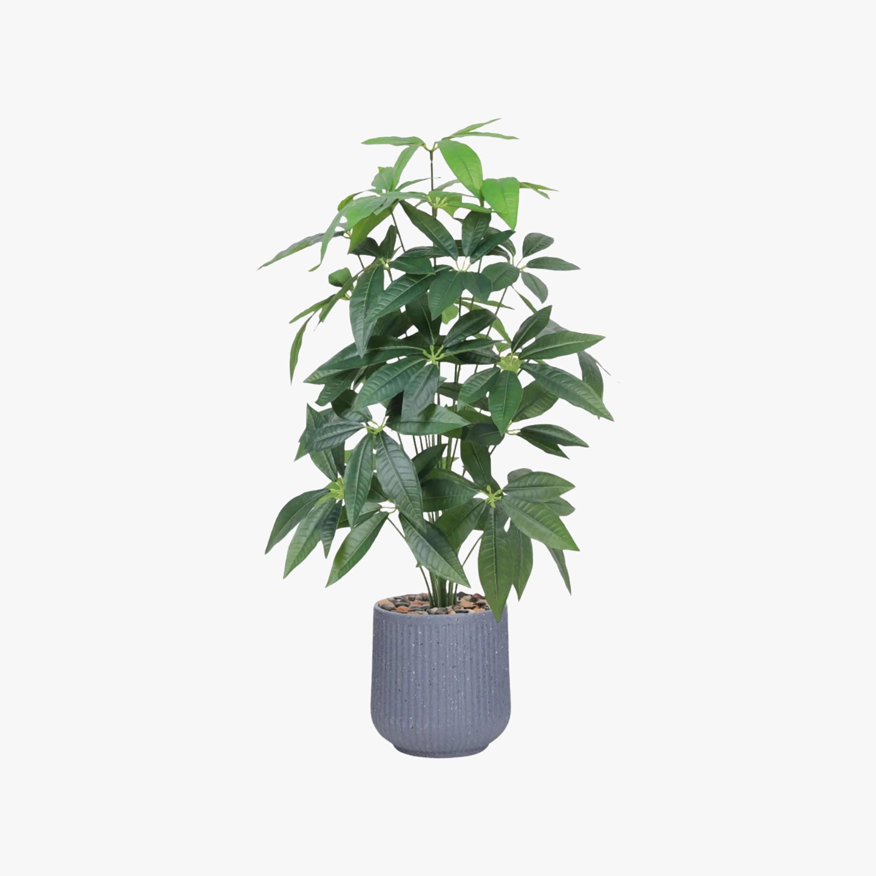 شجرة أوراق صناعية بأصيص من ماريا هومز-household-gardenandoutdoor-artificialflowersandplants-flowers-image-2