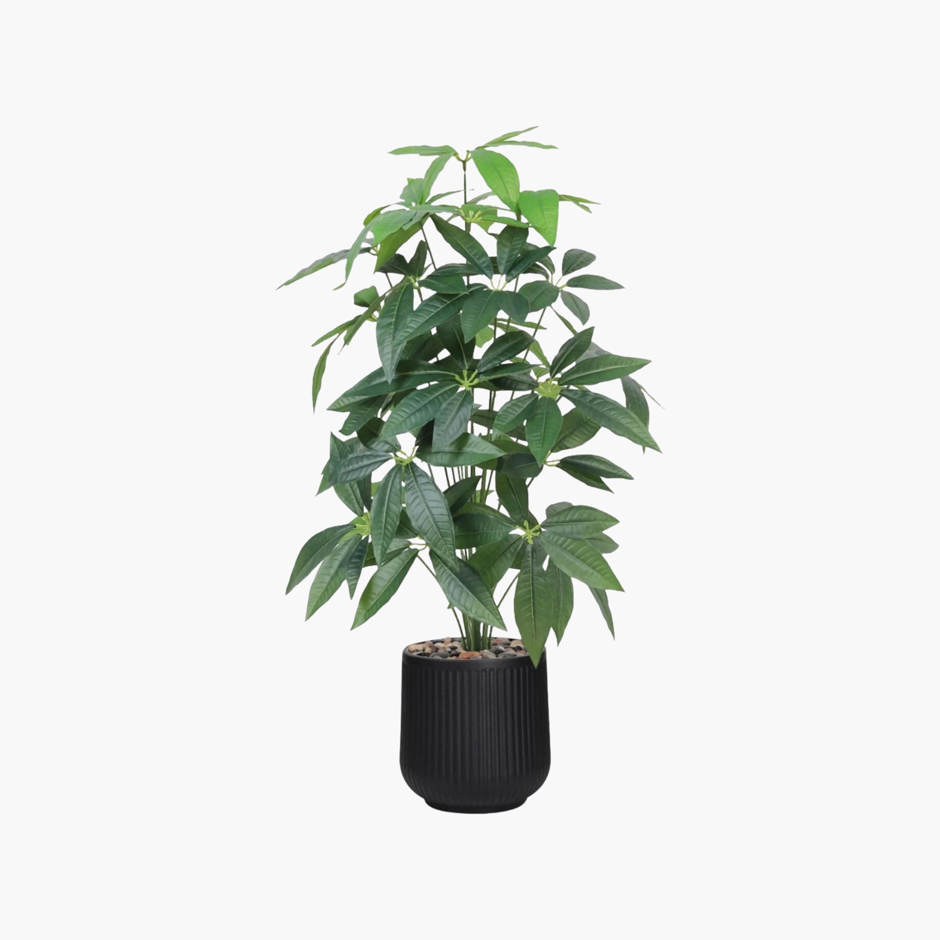 Maria Homes Potted Artificial Leaf Tree-household-gardenandoutdoor-artificialflowersandplants-flowers-image-2