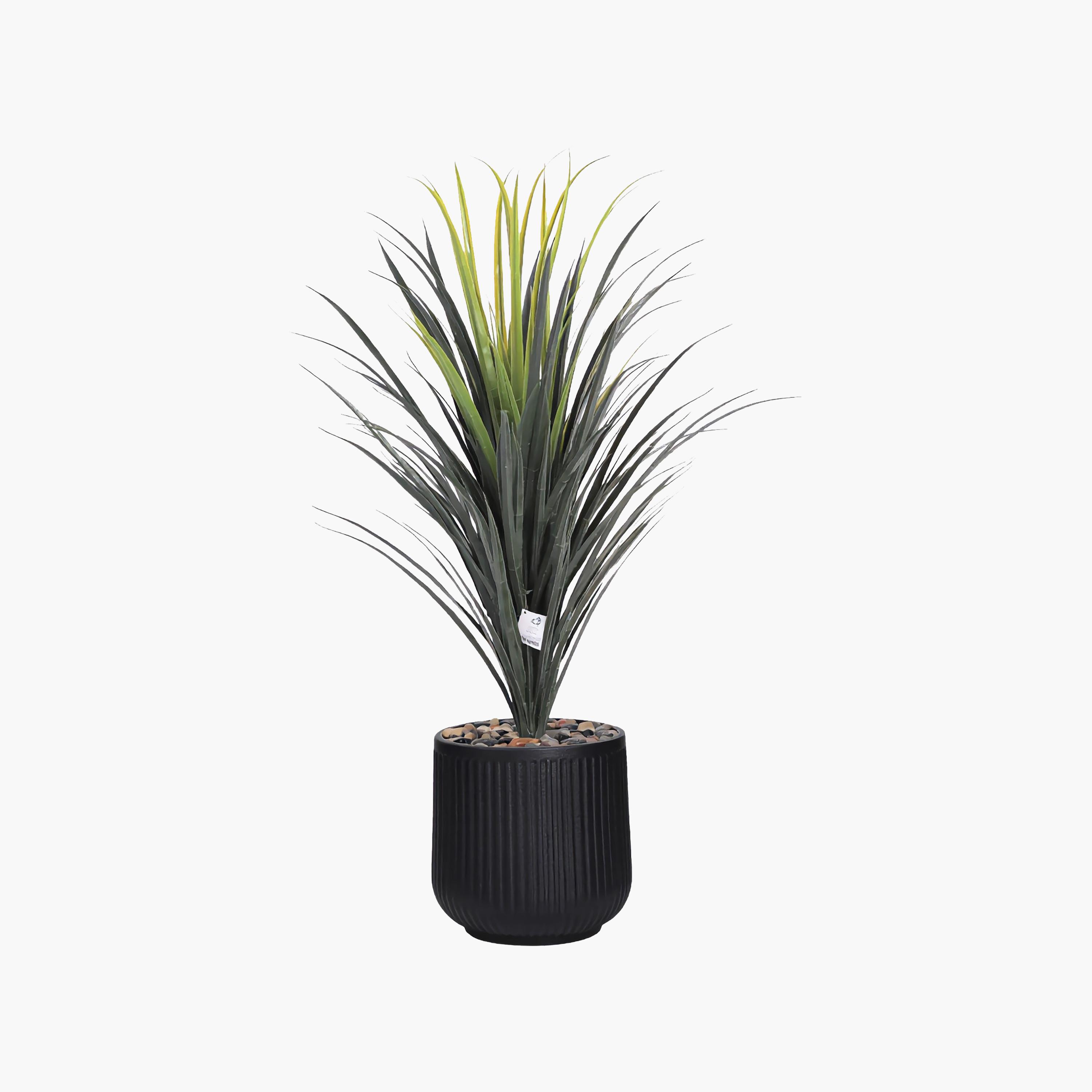 Maria Homes Potted Artificial Yucca Plant-household-gardenandoutdoor-artificialflowersandplants-flowers-image-2
