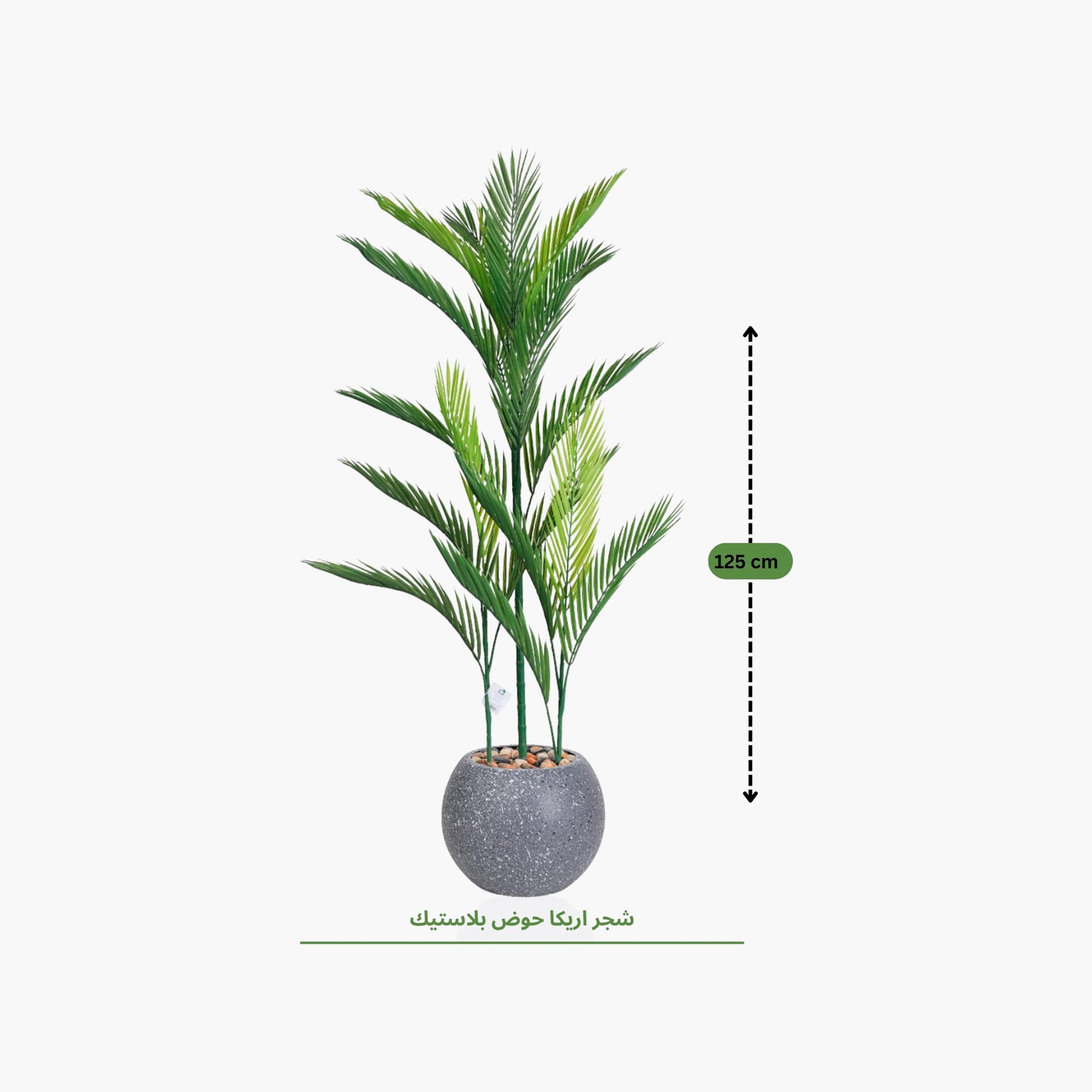 نبتة أريكا بالم صناعية بأصيص من ماريا هومز-household-gardenandoutdoor-artificialflowersandplants-flowers-image-4