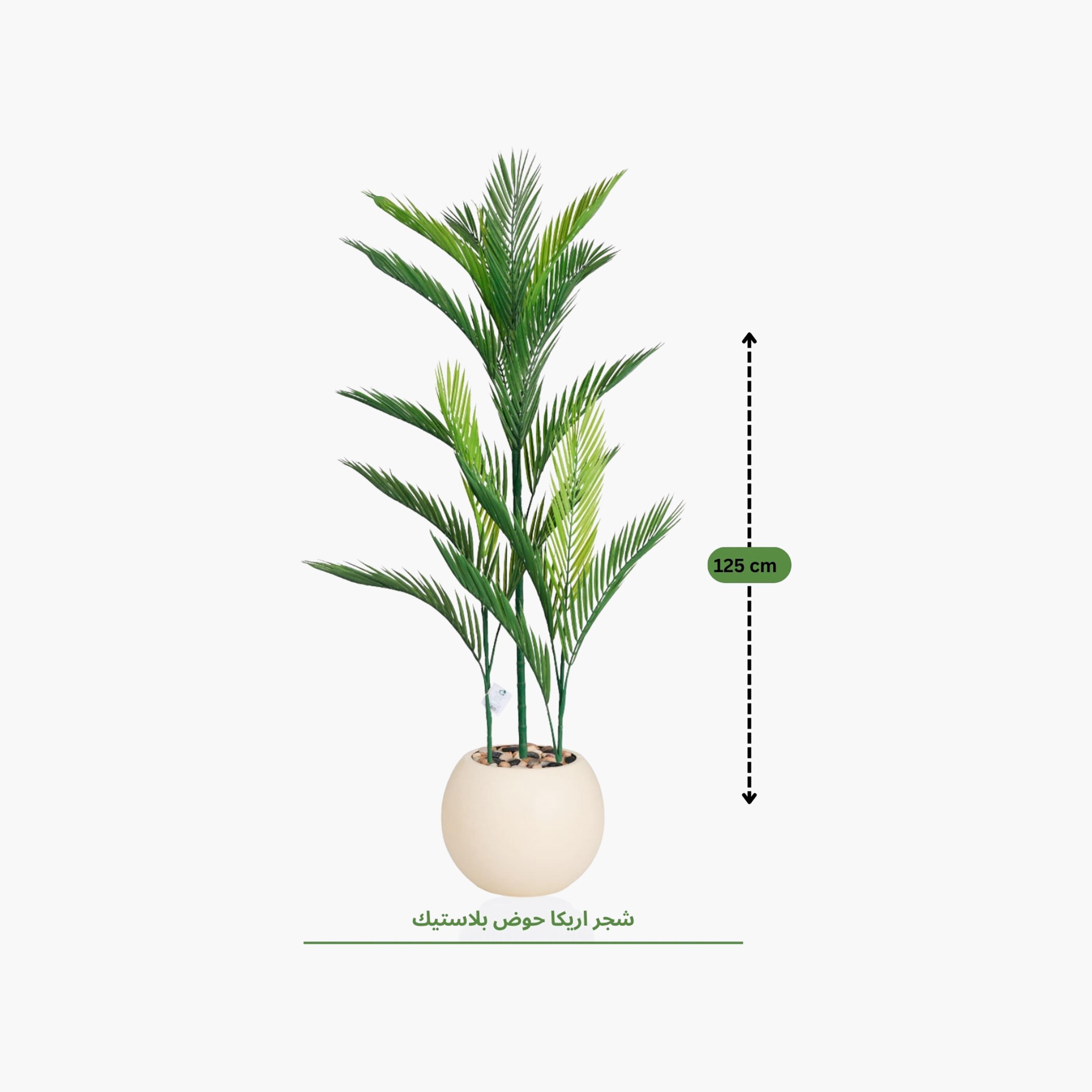 نبتة أريكا بالم صناعية بأصيص من ماريا هومز-household-gardenandoutdoor-artificialflowersandplants-flowers-image-4