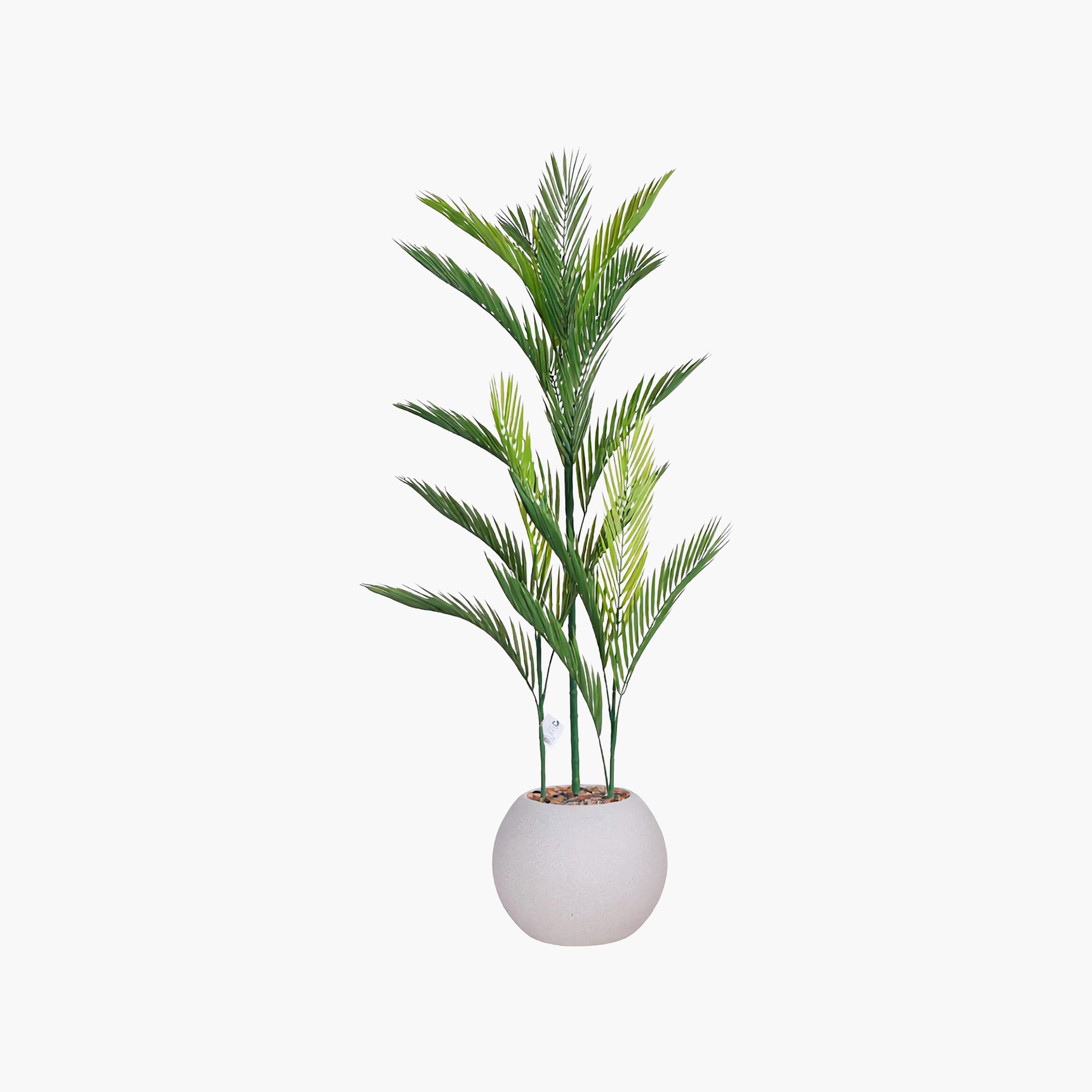 نبتة أريكا بالم صناعية بأصيص من ماريا هومز-household-gardenandoutdoor-artificialflowersandplants-flowers-image-2