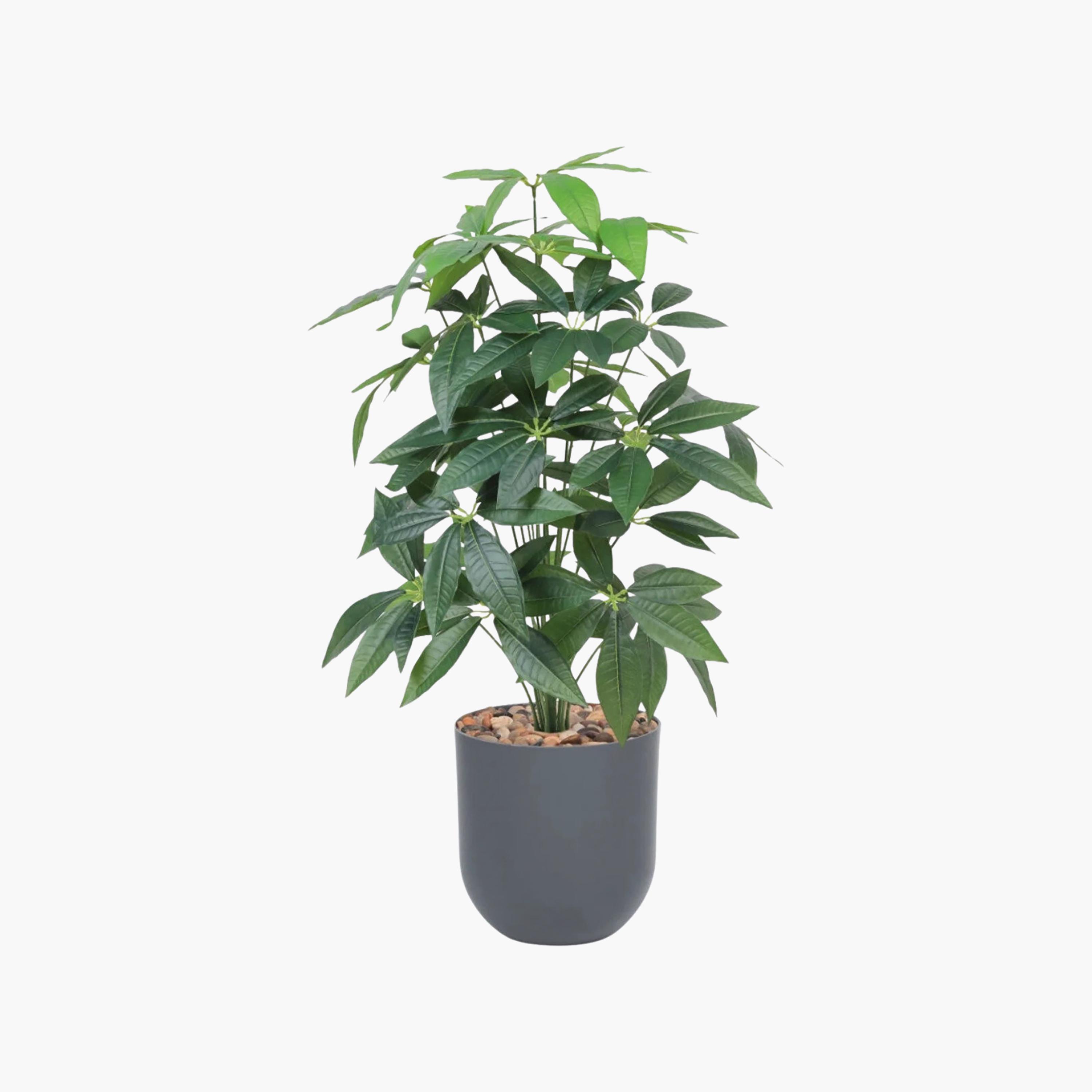 Maria Homes Potted Artificial Leaf Tree-household-gardenandoutdoor-artificialflowersandplants-flowers-image-2