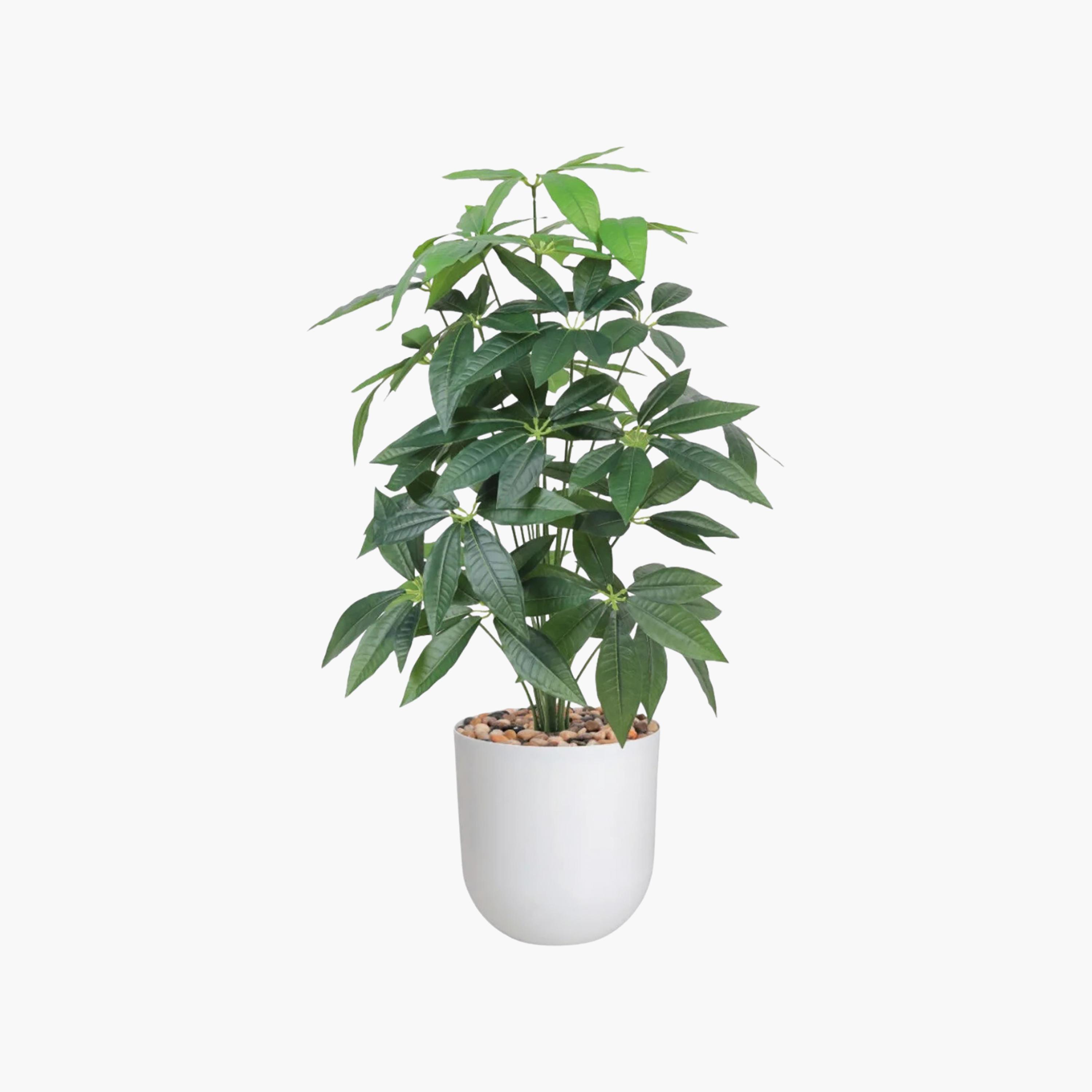 Maria Homes Potted Artificial Leaf Tree-household-gardenandoutdoor-artificialflowersandplants-flowers-image-2