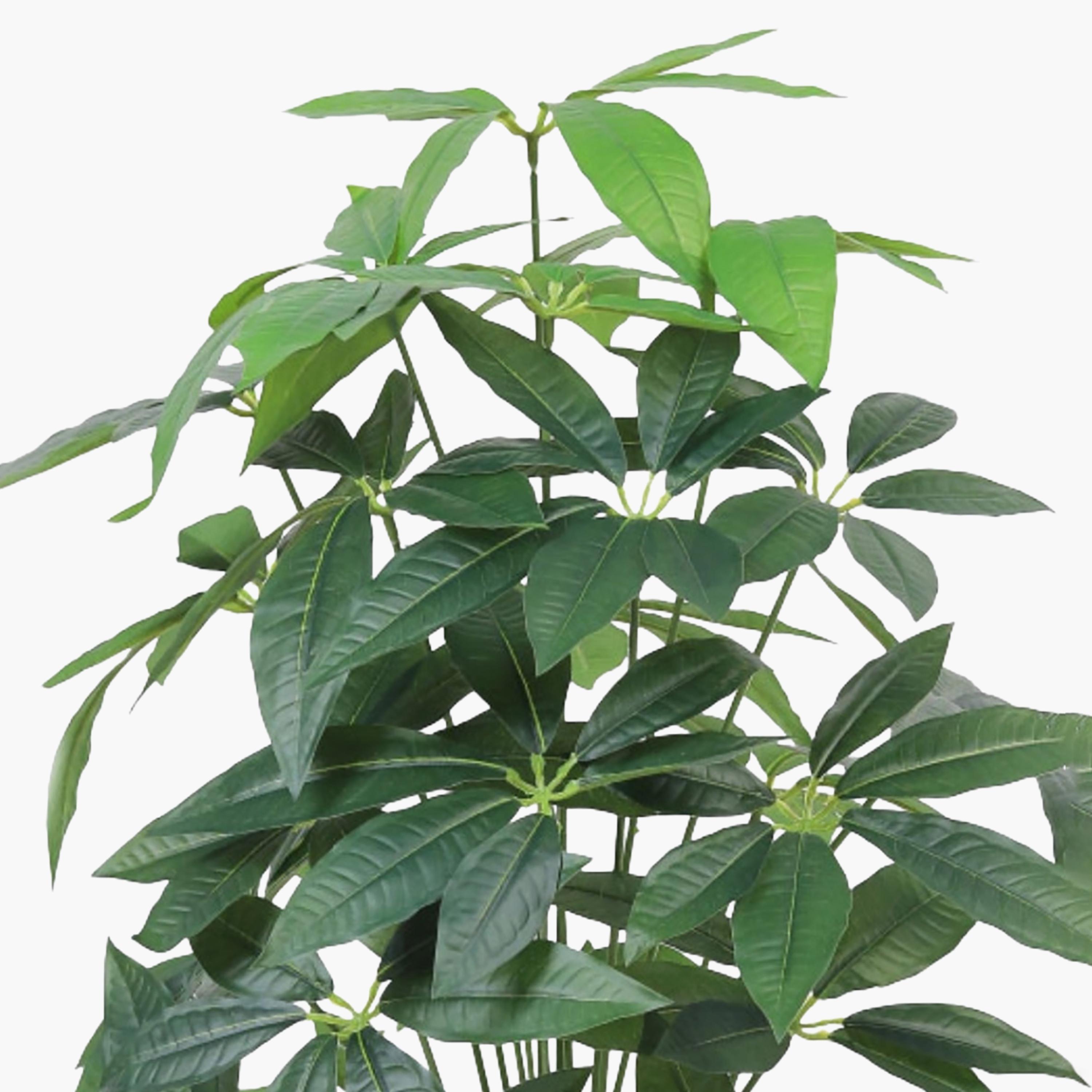 Maria Homes Potted Artificial Leaf Tree-household-gardenandoutdoor-artificialflowersandplants-flowers-image-3