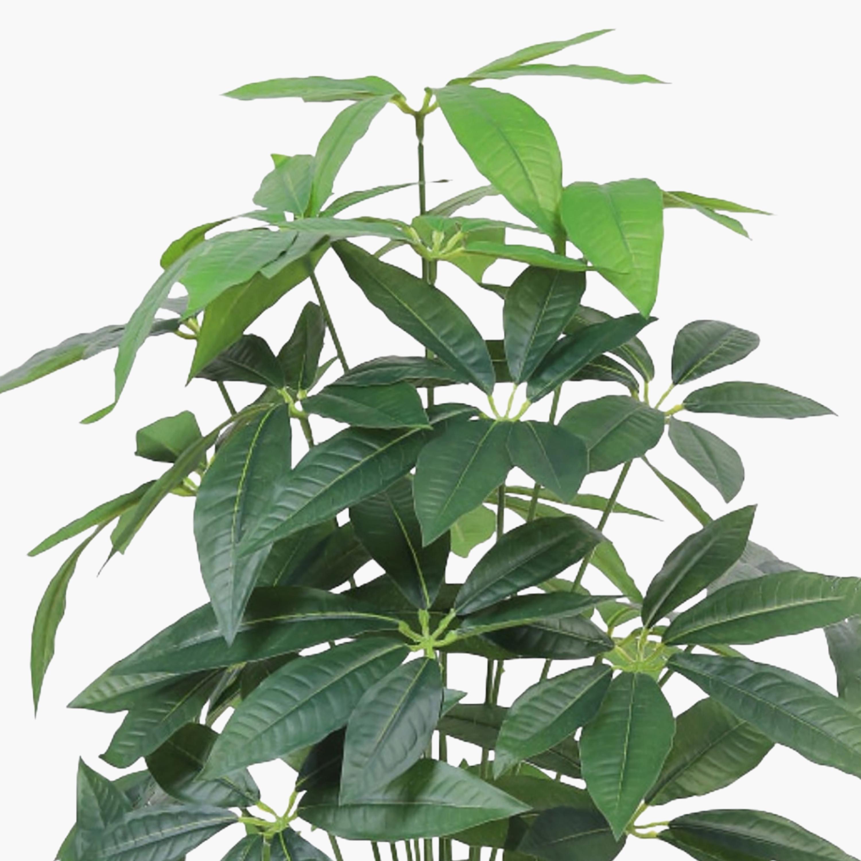 Maria Homes Potted Artificial Leaf Tree-household-gardenandoutdoor-artificialflowersandplants-flowers-image-3