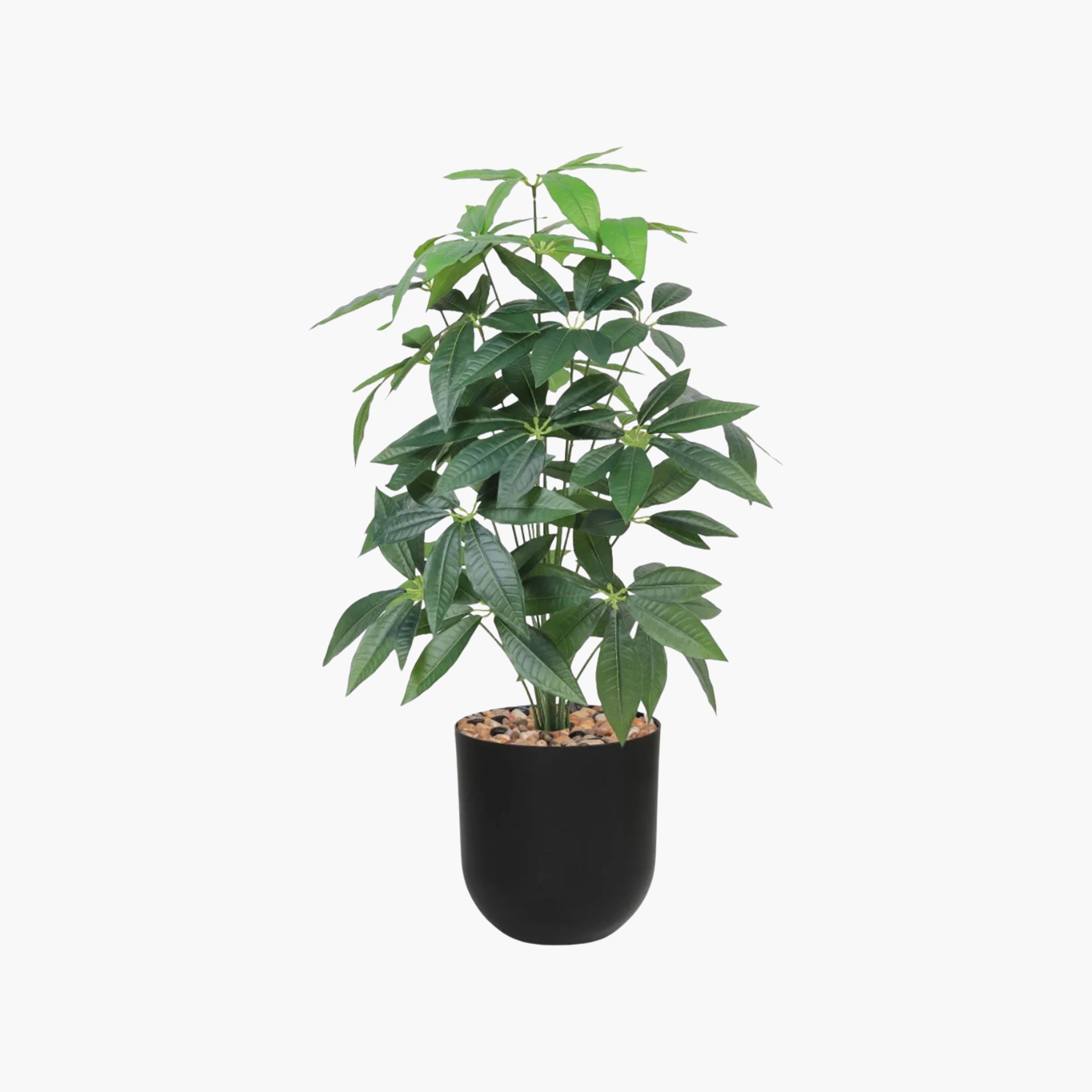 Maria Homes Potted Artificial Leaf Tree-household-gardenandoutdoor-artificialflowersandplants-flowers-image-2