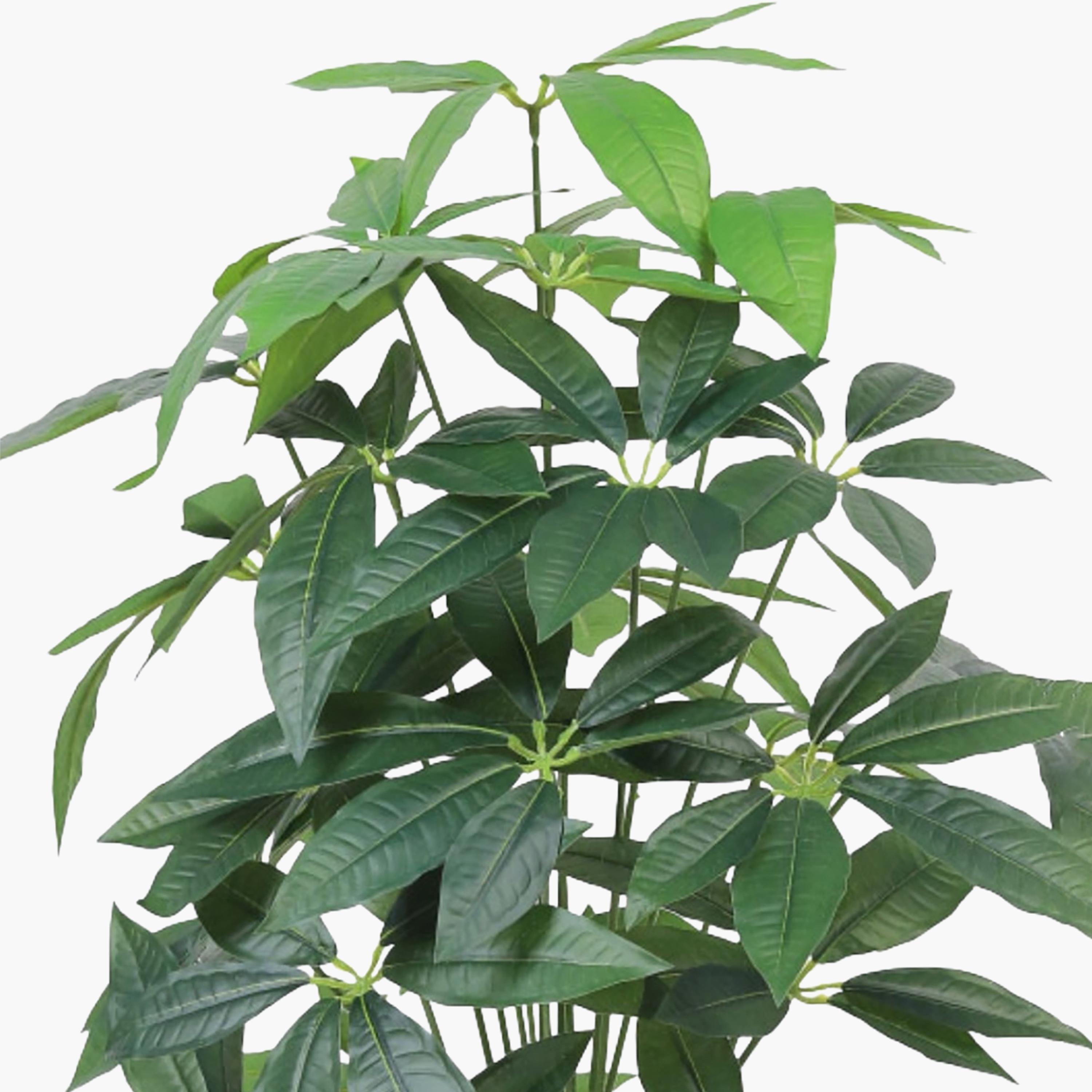 Maria Homes Potted Artificial Leaf Tree-household-gardenandoutdoor-artificialflowersandplants-flowers-image-3