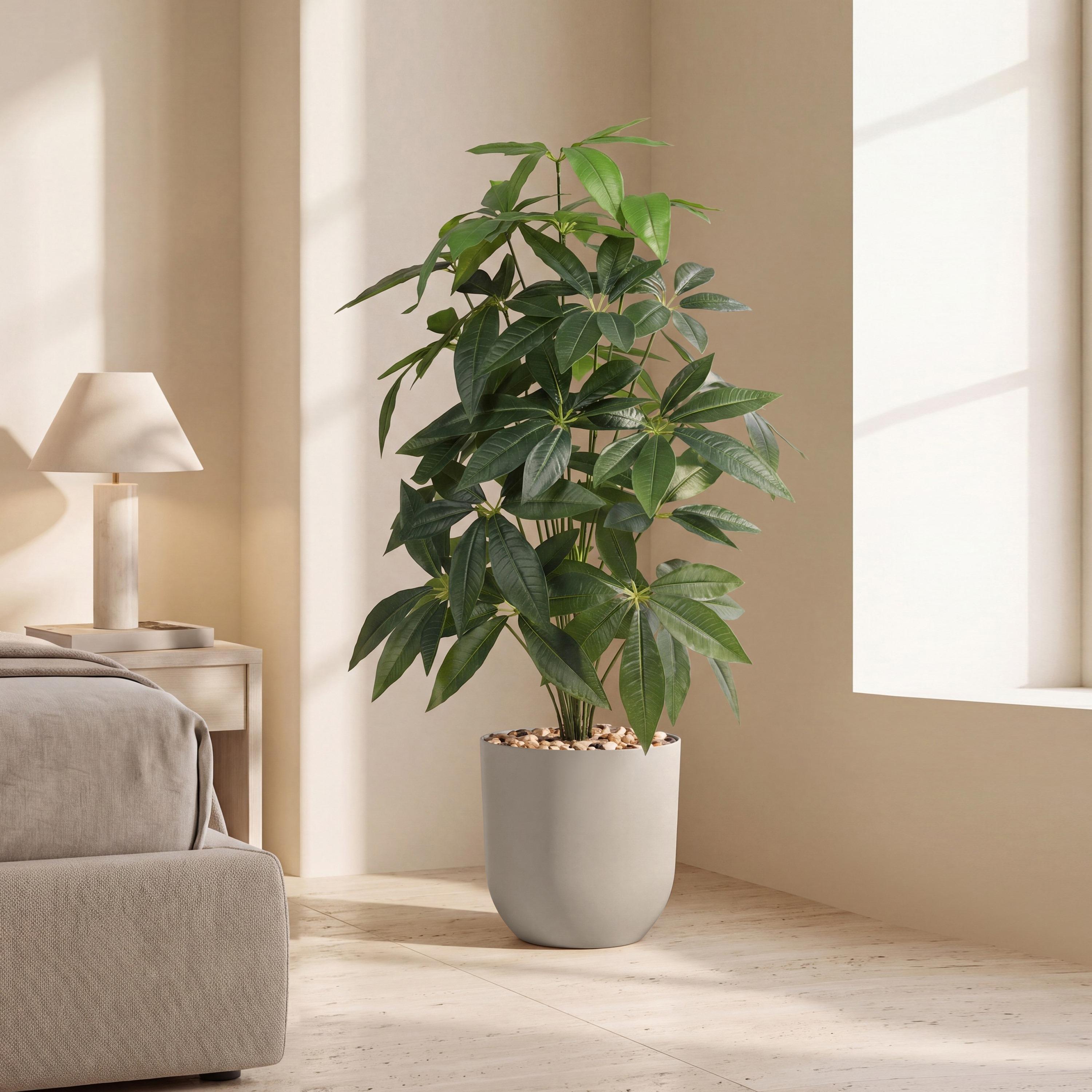 Maria Homes Potted Artificial Leaf Tree-household-gardenandoutdoor-artificialflowersandplants-flowers-image-1
