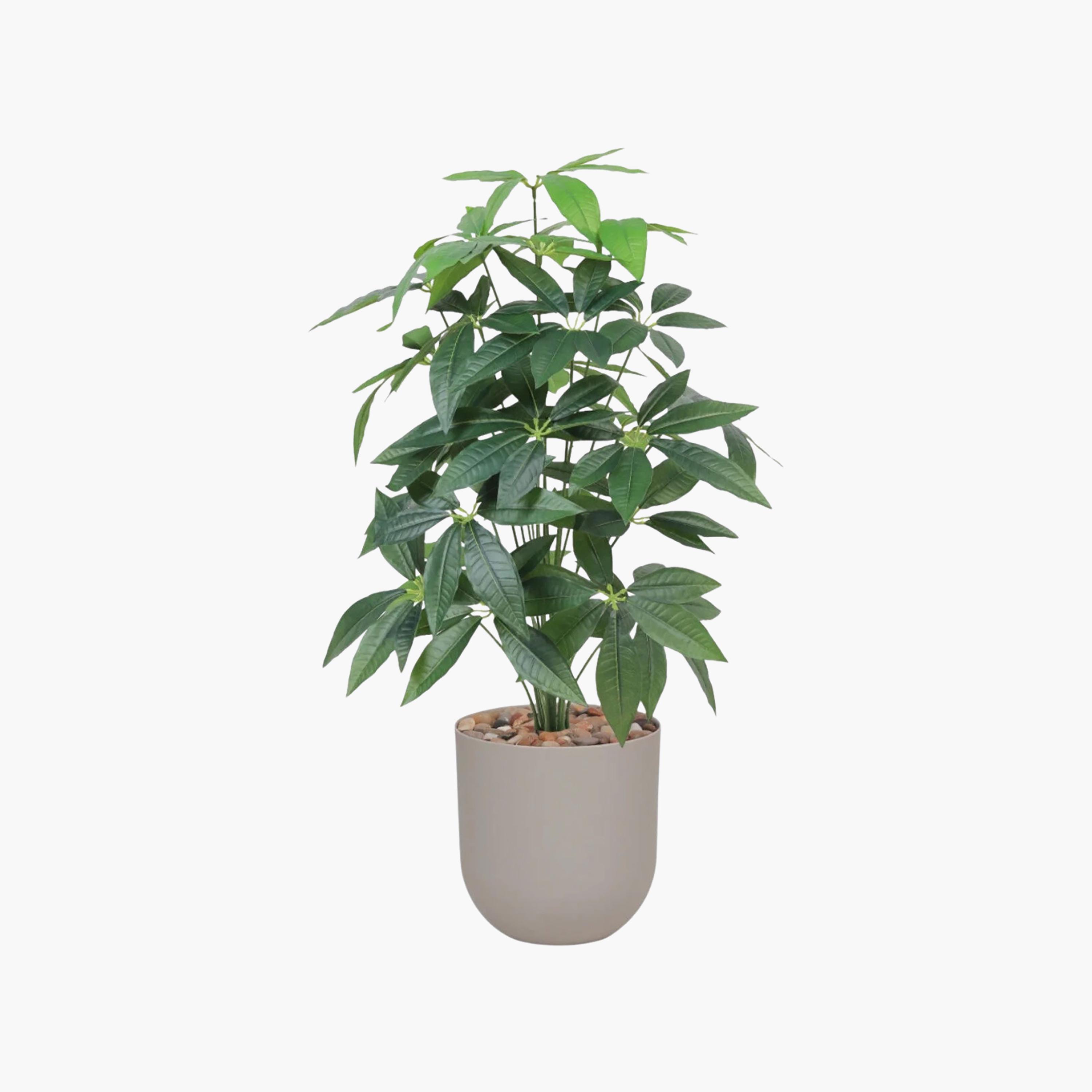 Maria Homes Potted Artificial Leaf Tree-household-gardenandoutdoor-artificialflowersandplants-flowers-image-2
