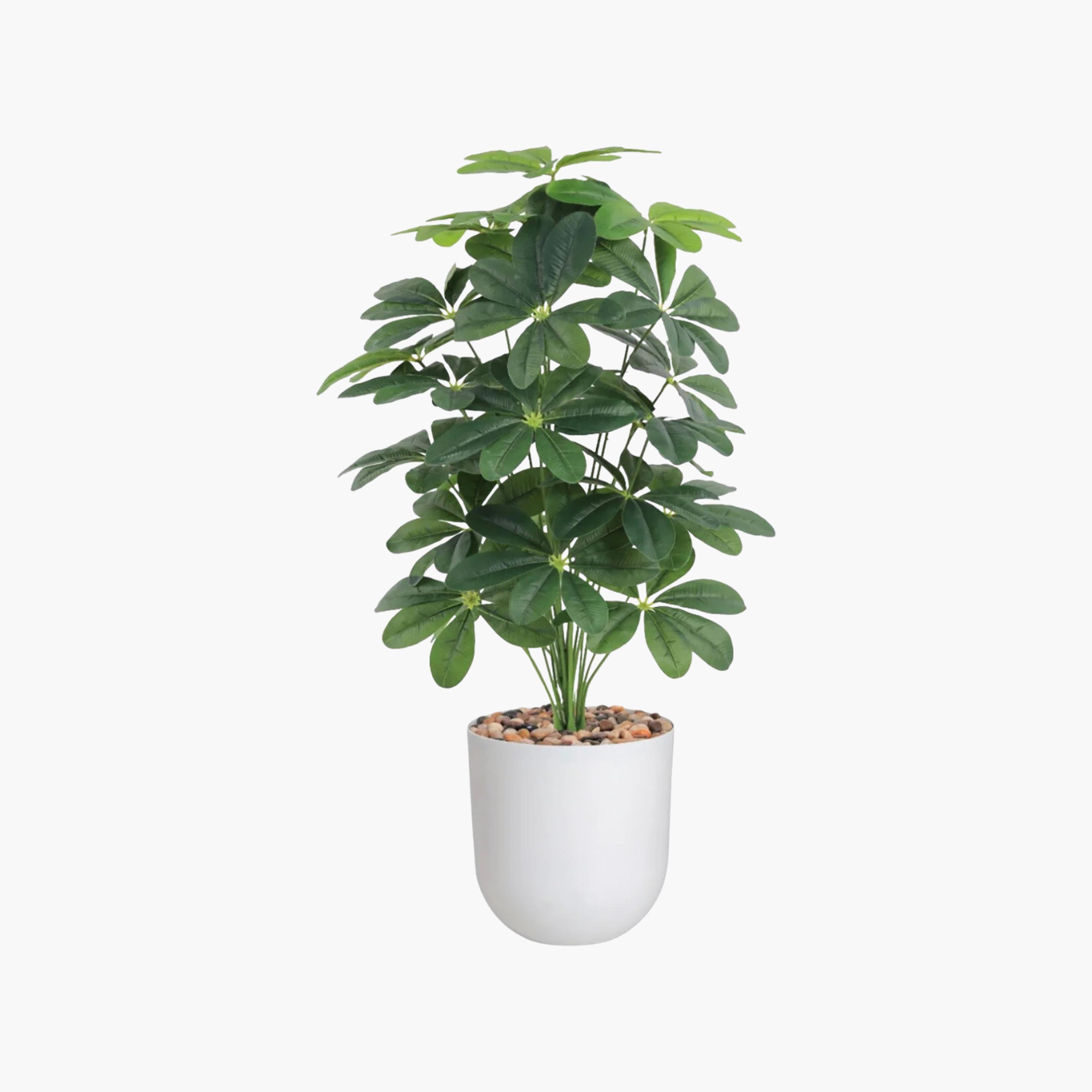 نبتة شيفليرا صناعية بأصيص من ماريا هومز-household-gardenandoutdoor-artificialflowersandplants-flowers-image-2