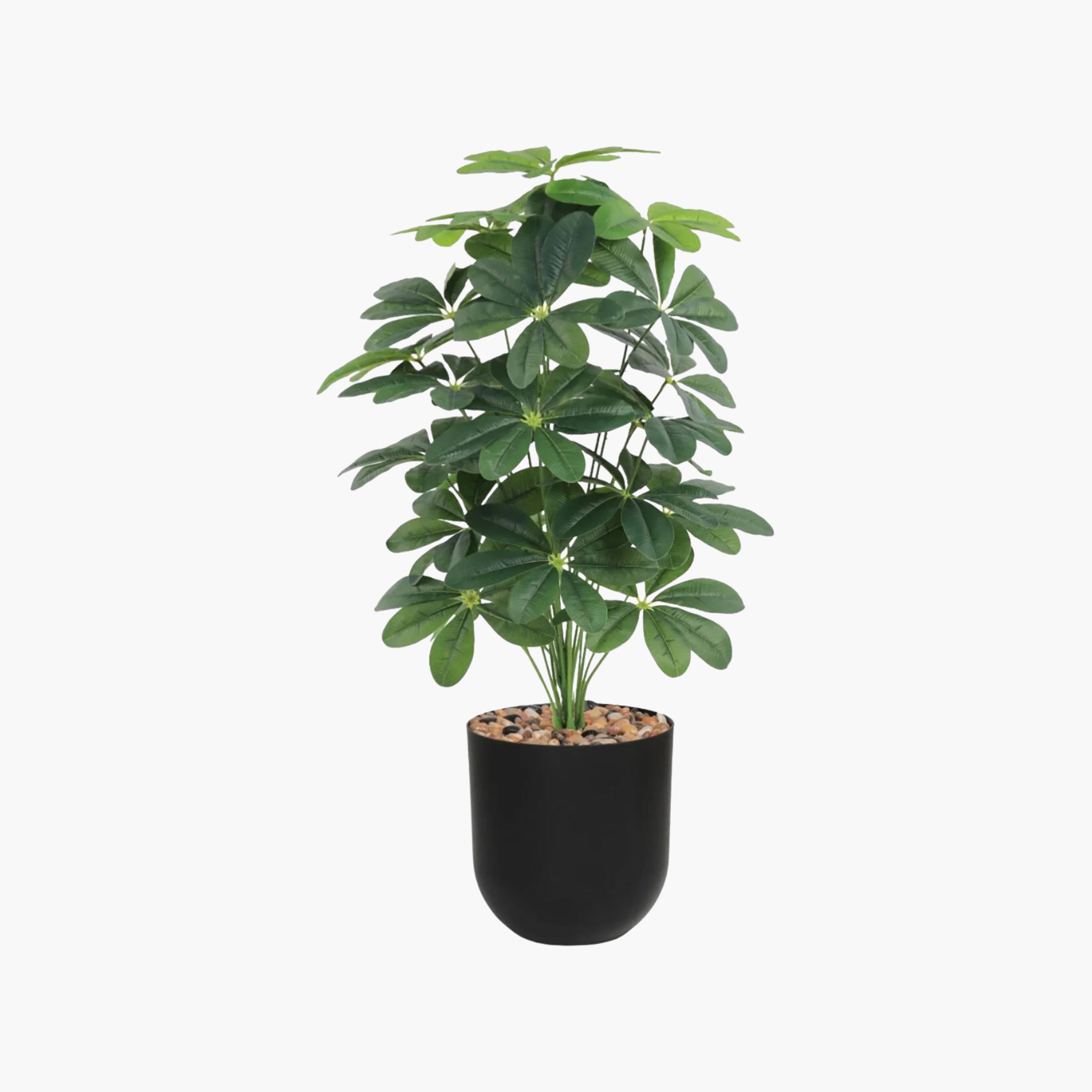 نبتة شيفليرا صناعية بأصيص من ماريا هومز-household-gardenandoutdoor-artificialflowersandplants-flowers-image-2