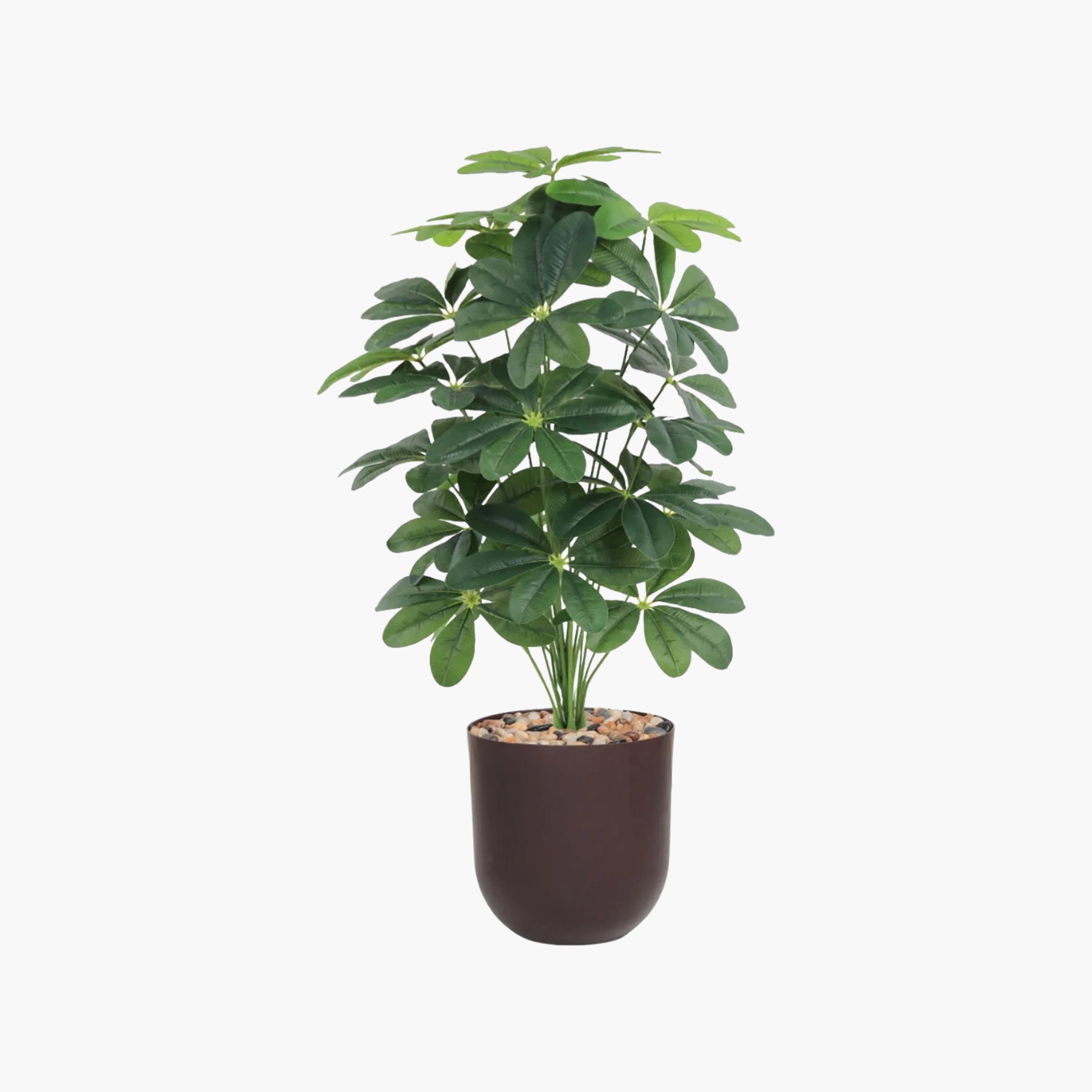 نبتة شيفليرا صناعية بأصيص من ماريا هومز-household-gardenandoutdoor-artificialflowersandplants-flowers-image-2