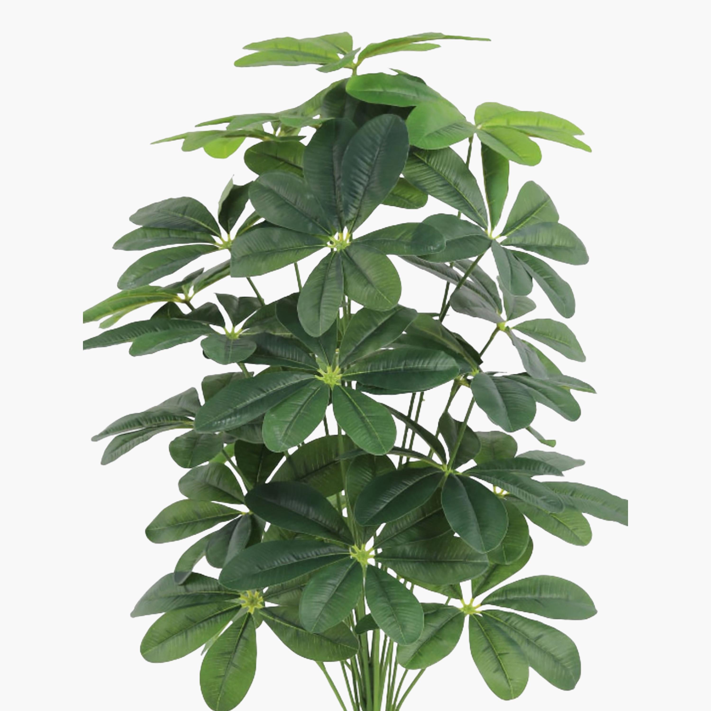 نبتة شيفليرا صناعية بأصيص من ماريا هومز-household-gardenandoutdoor-artificialflowersandplants-flowers-image-3