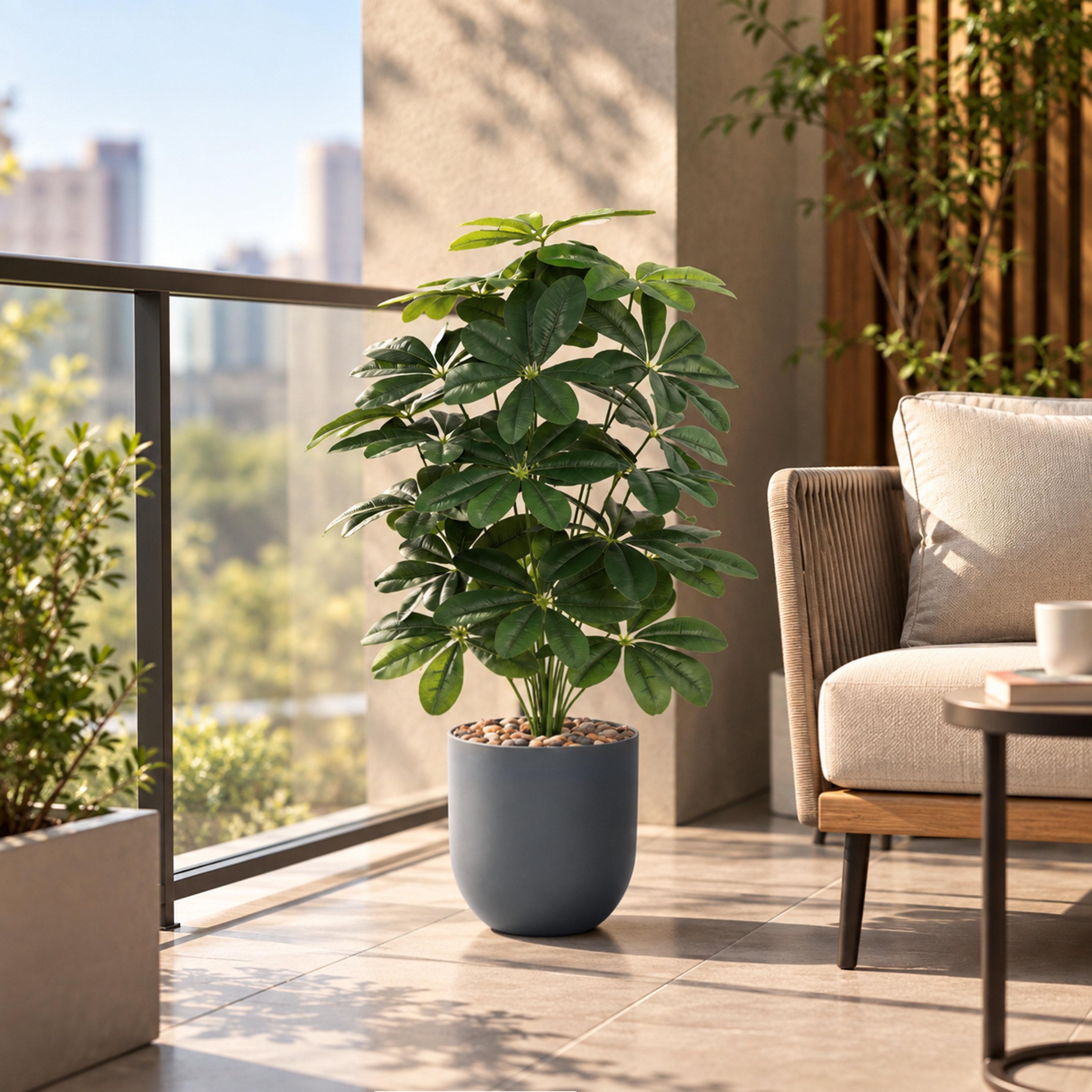 نبتة شيفليرا صناعية بأصيص من ماريا هومز-household-gardenandoutdoor-artificialflowersandplants-flowers-image-1