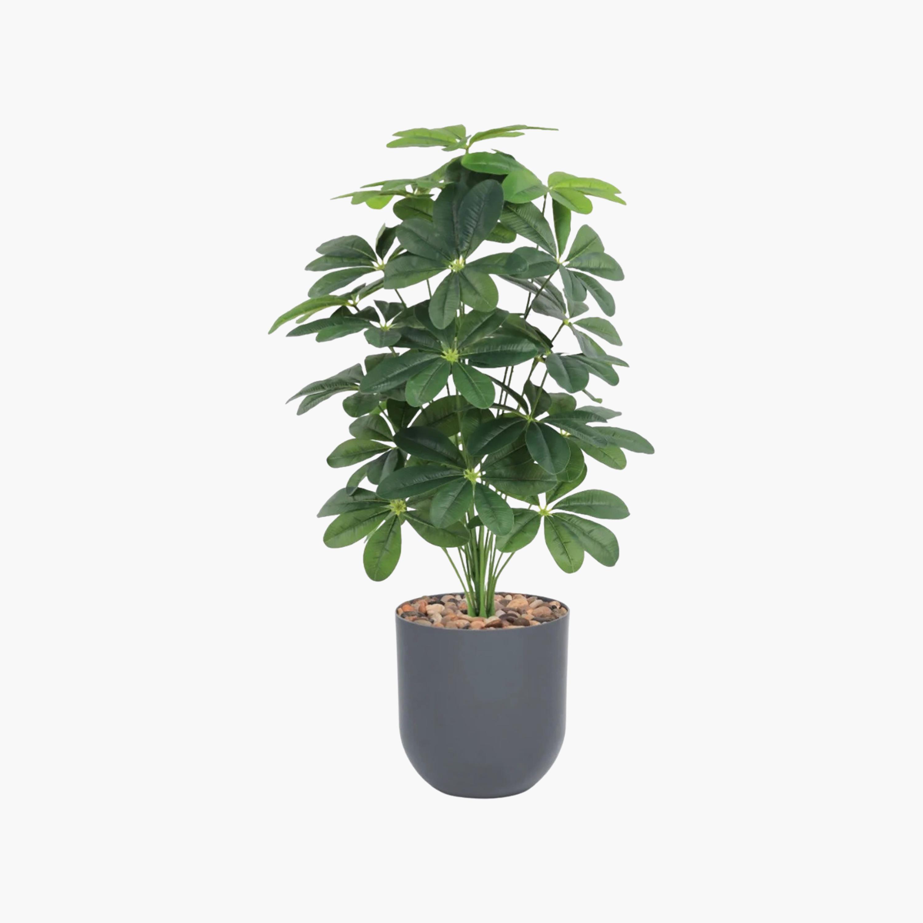 نبتة شيفليرا صناعية بأصيص من ماريا هومز-household-gardenandoutdoor-artificialflowersandplants-flowers-image-2