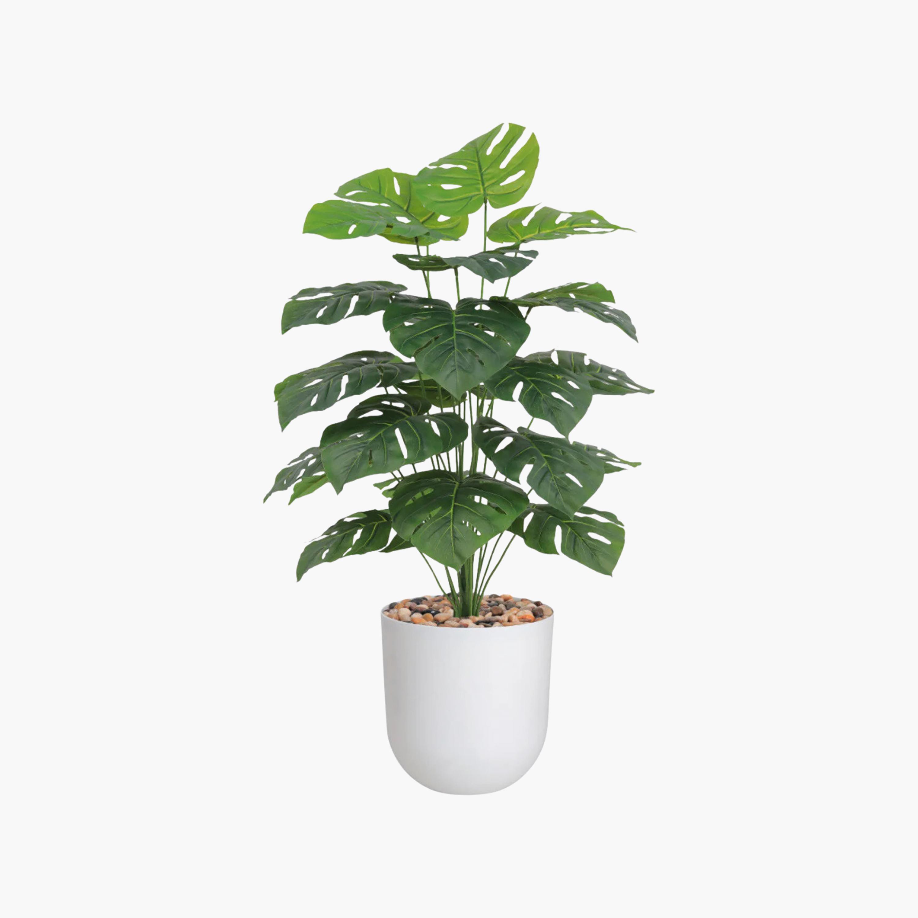 نبات مونستيرا صناعي في أصيص من ماريا هومز-household-gardenandoutdoor-artificialflowersandplants-flowers-image-2