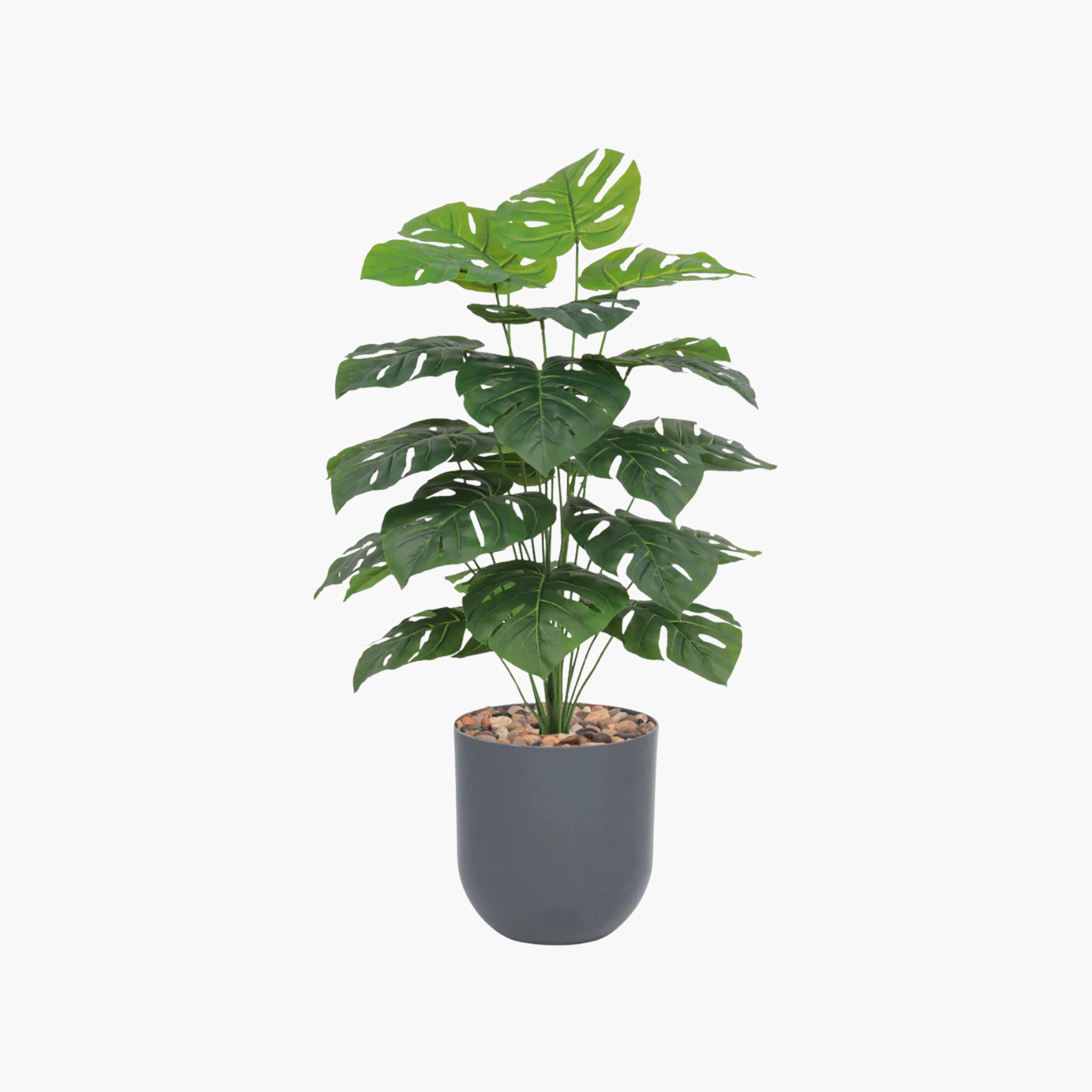 نبات مونستيرا صناعي في أصيص من ماريا هومز-household-gardenandoutdoor-artificialflowersandplants-flowers-image-2