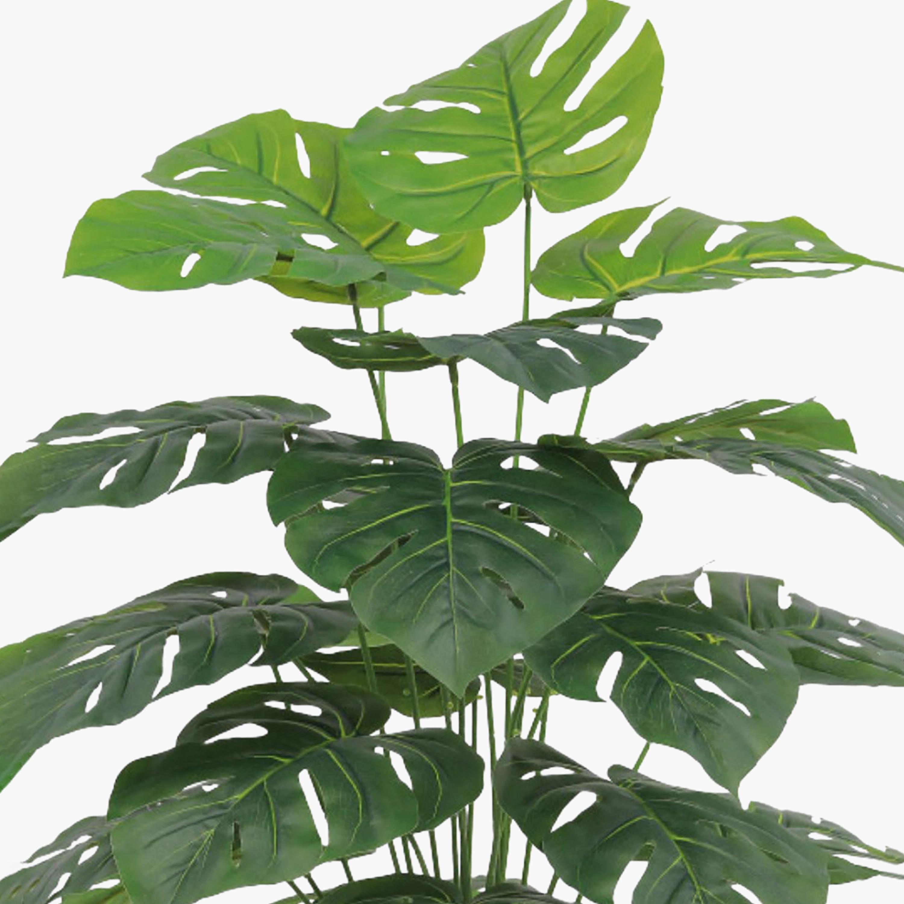 نبات مونستيرا صناعي في أصيص من ماريا هومز-household-gardenandoutdoor-artificialflowersandplants-flowers-image-3