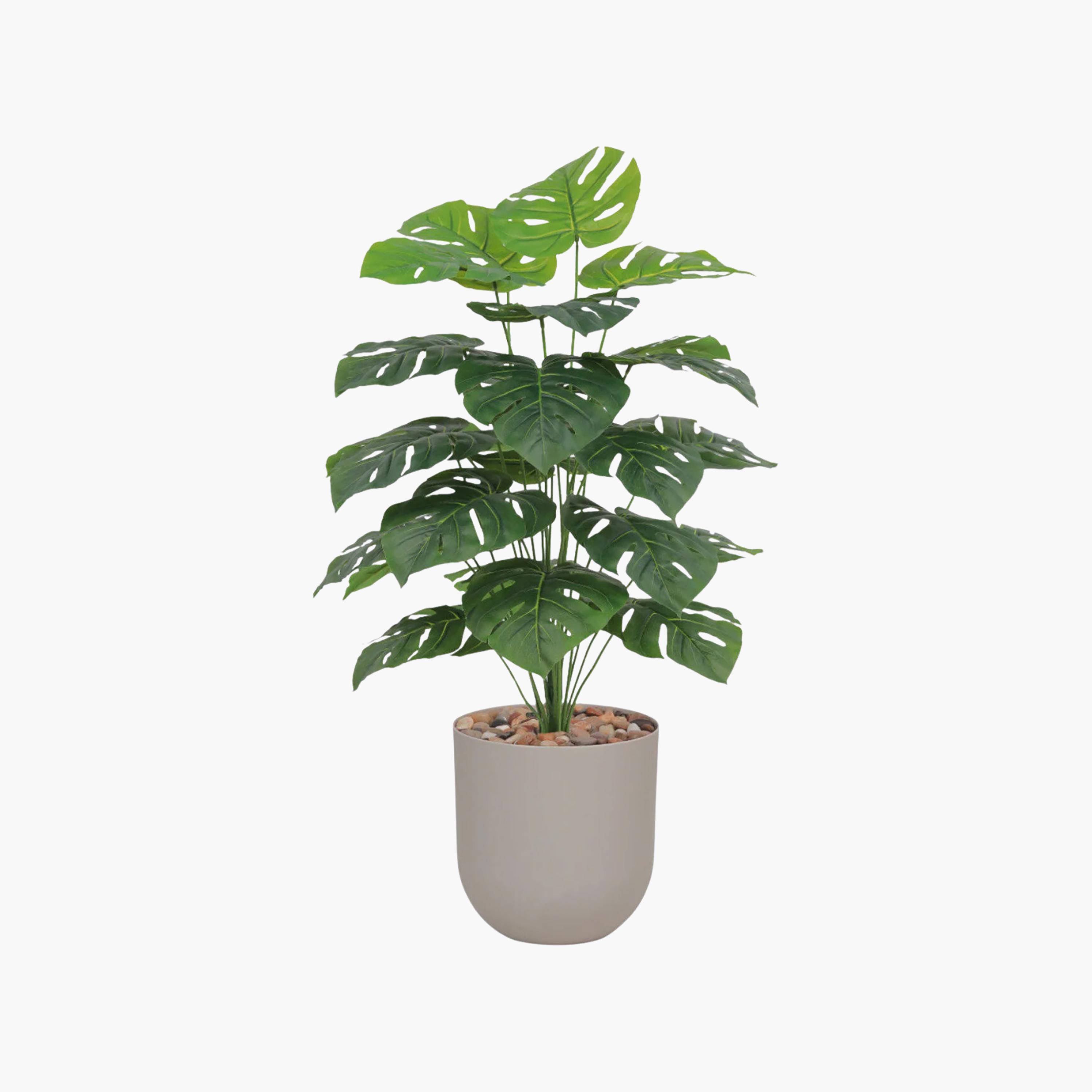 Maria Homes Potted Artificial Monstera Plant-household-gardenandoutdoor-artificialflowersandplants-flowers-image-2