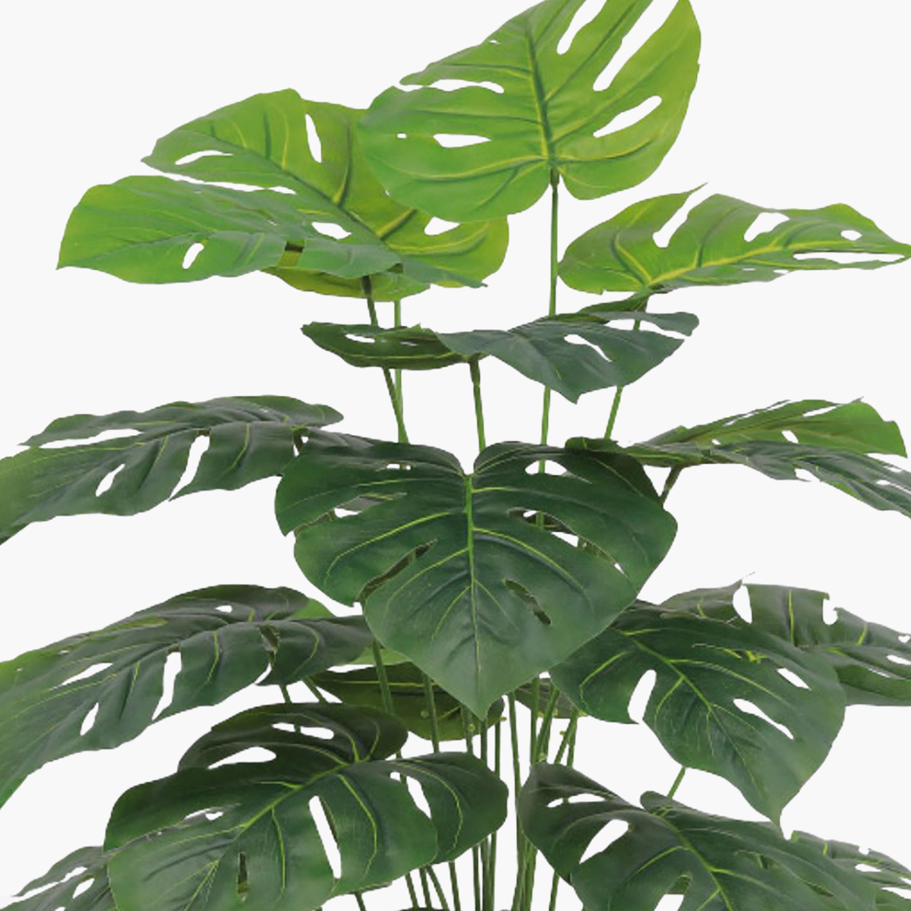 Maria Homes Potted Artificial Monstera Plant-household-gardenandoutdoor-artificialflowersandplants-flowers-image-3