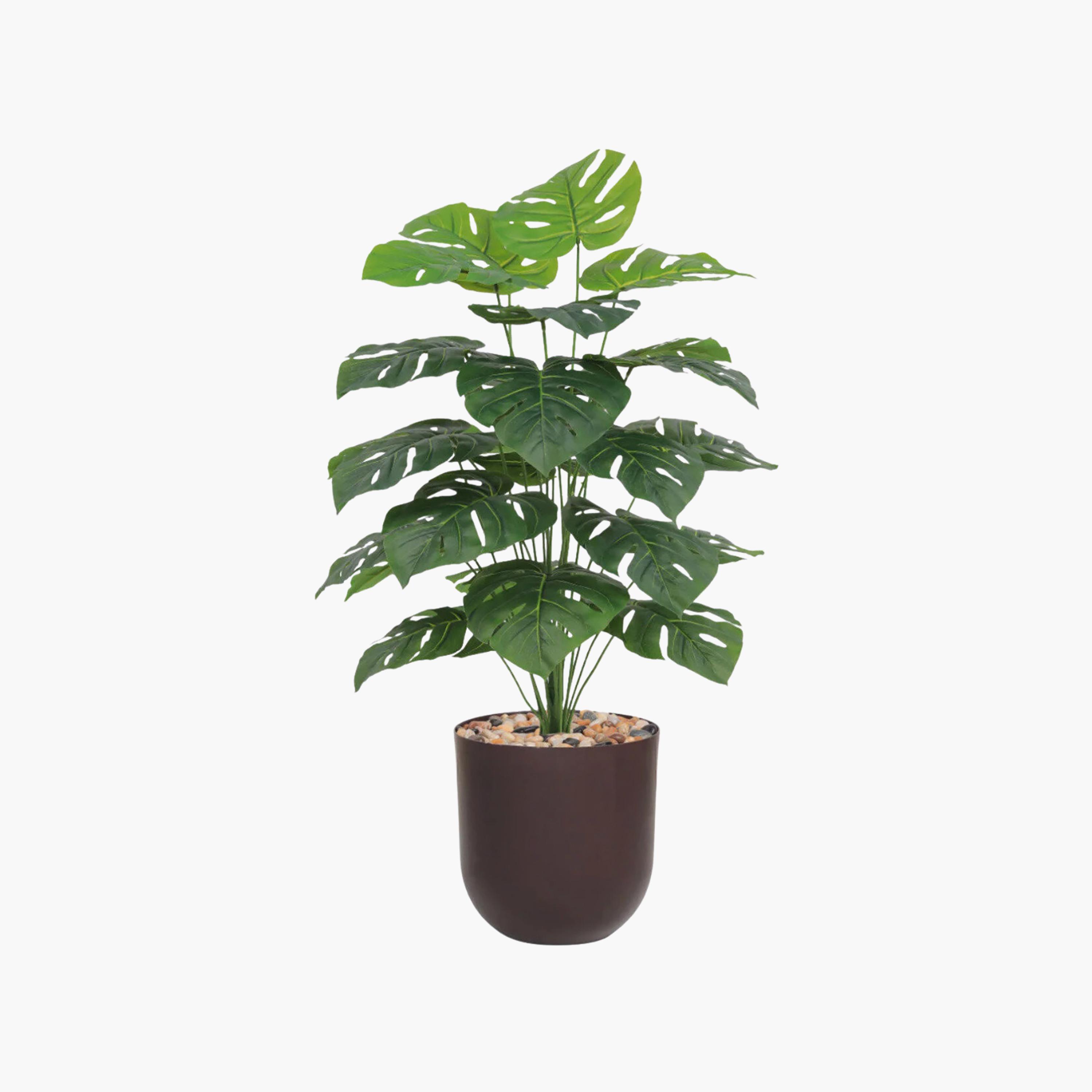 نبات مونستيرا صناعي في أصيص من ماريا هومز-household-gardenandoutdoor-artificialflowersandplants-flowers-image-2