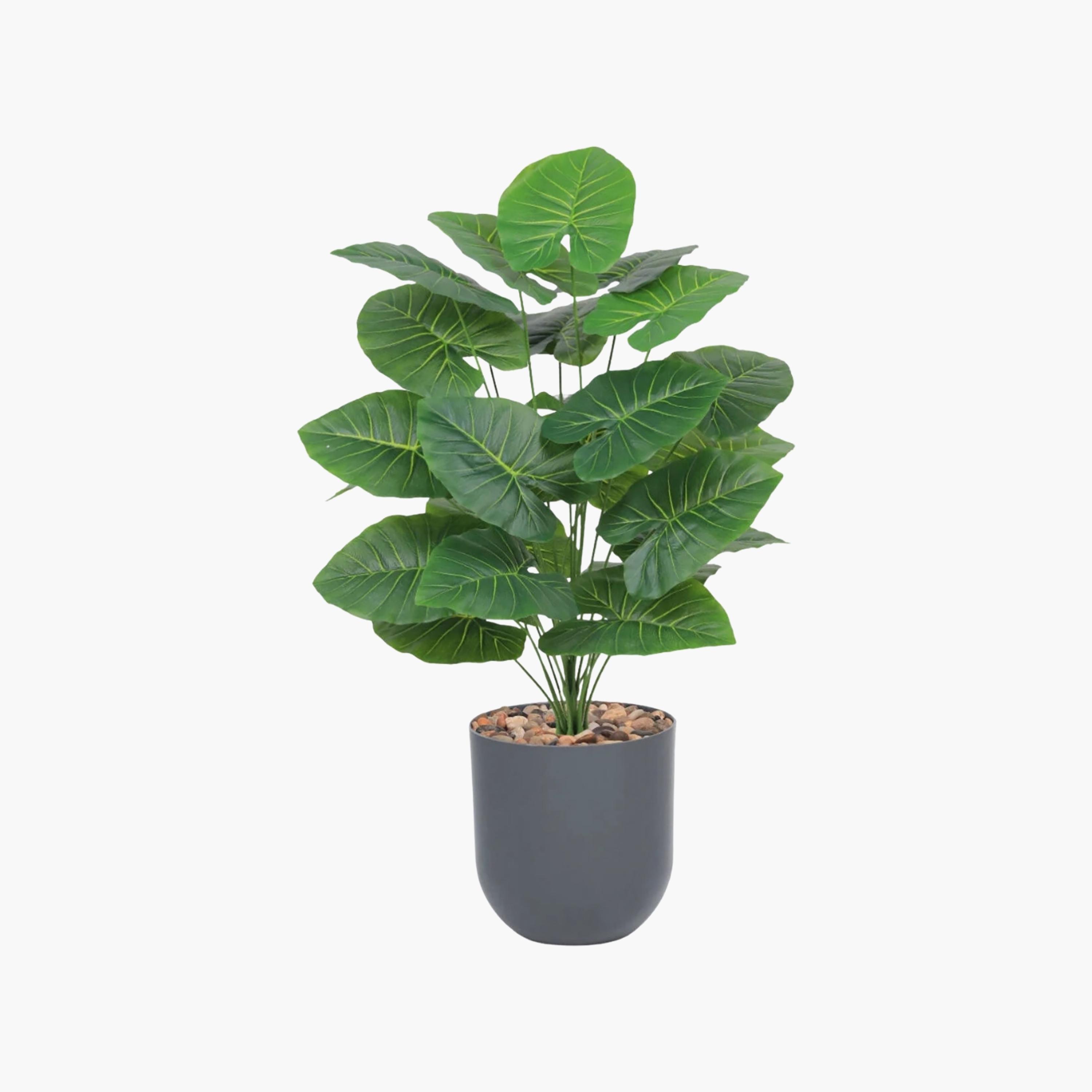 Maria Homes Potted Artificial Elephant Ear Plant-household-gardenandoutdoor-artificialflowersandplants-flowers-image-2