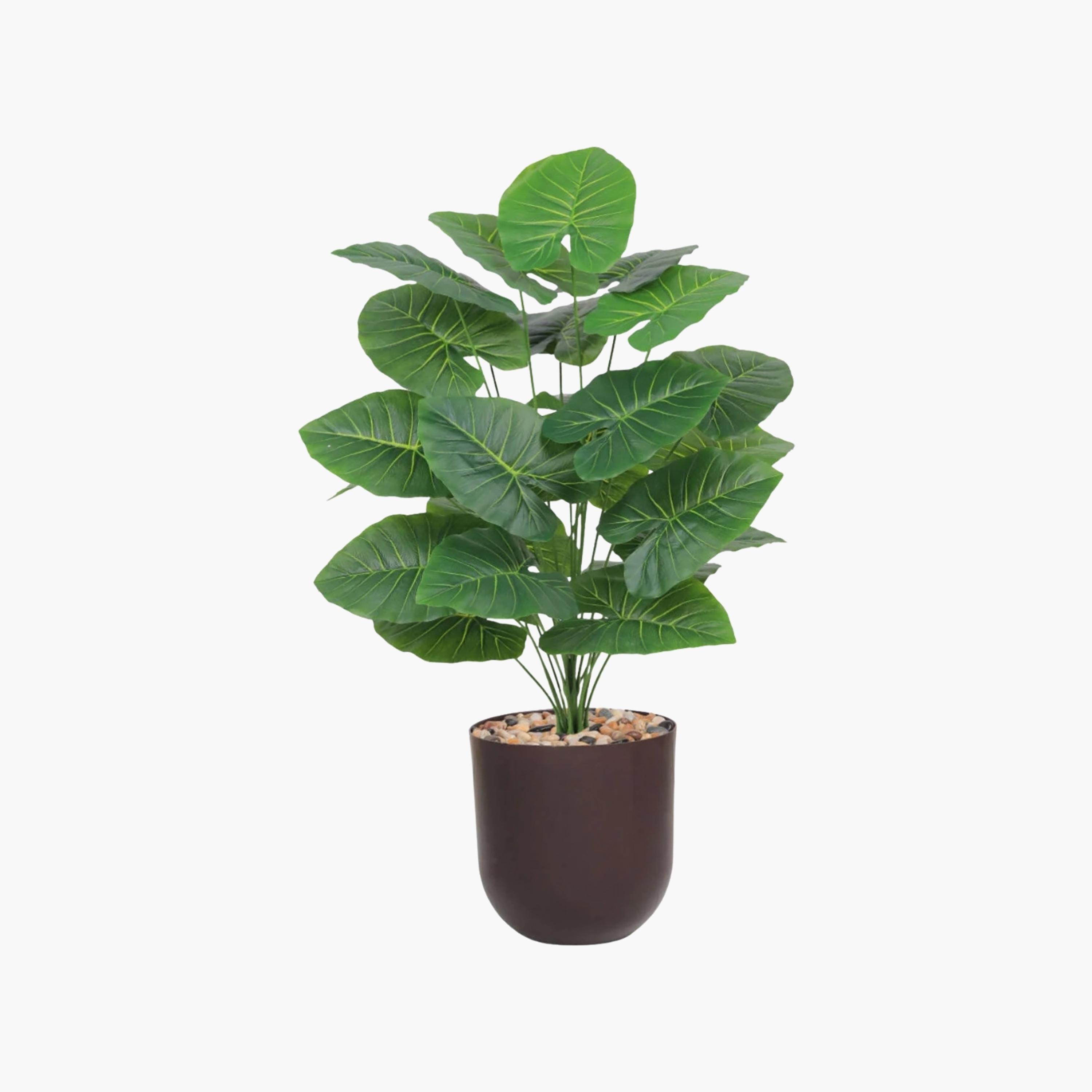 نبات صناعي بأوراق أذن الفيل في أصيص من ماريا هومز-household-gardenandoutdoor-artificialflowersandplants-flowers-image-2